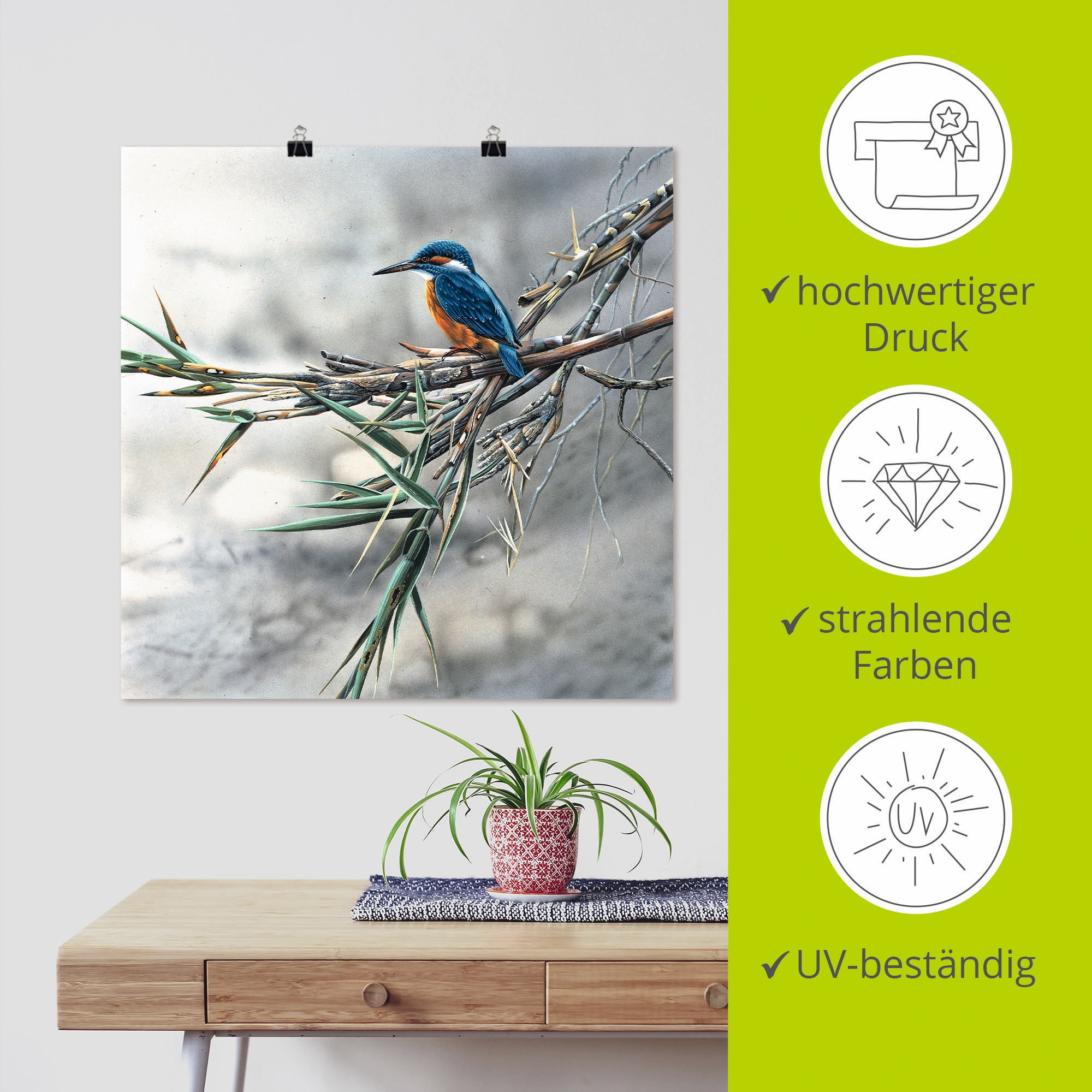 Artland Wandbild »Eisvogel I« Vögel 1 Stk. tlg. als Leinwandbild, Poster in verschied. Grössen