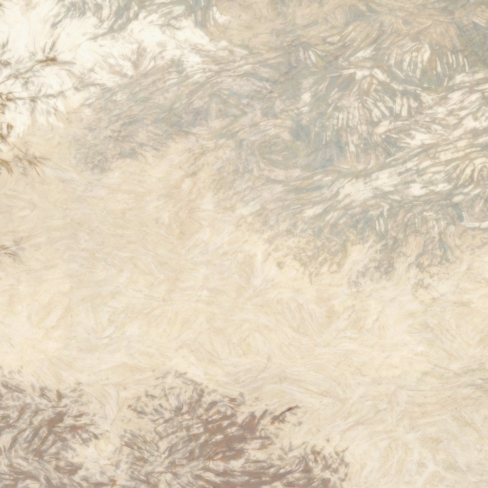 Komar Papier peint photo »Vlies Fototapete - Herbstwald - Grösse 350 x 250 cm« Motif | imprimé lisse