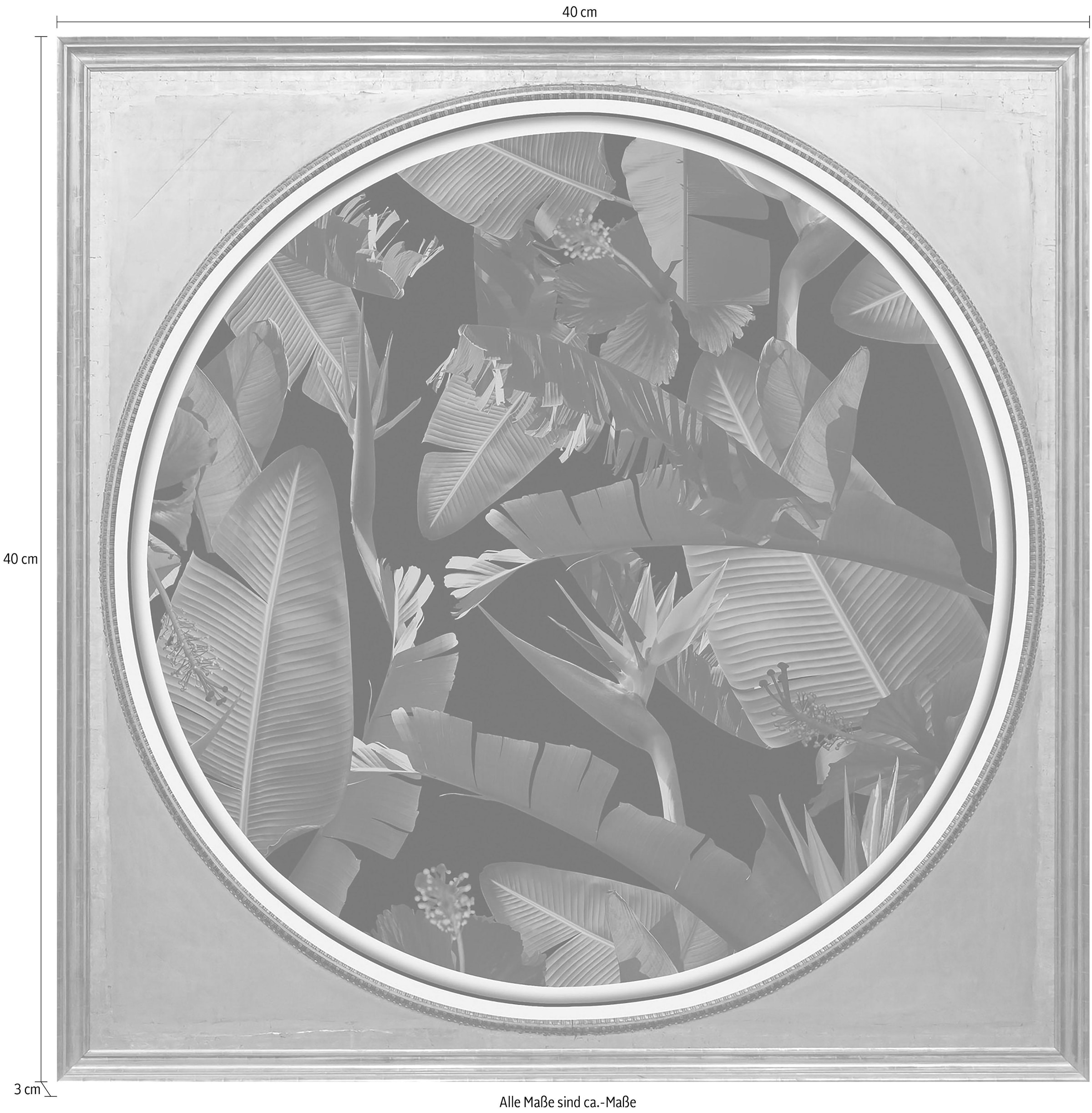 queence Acrylglasbild »Tropische Pflanzen II« Blumenbilder | Gemälde | Kunst | Pflanzen | Pflanzenbilder | Wald | Waldbilder Fine Art-Print in Galeriequalität