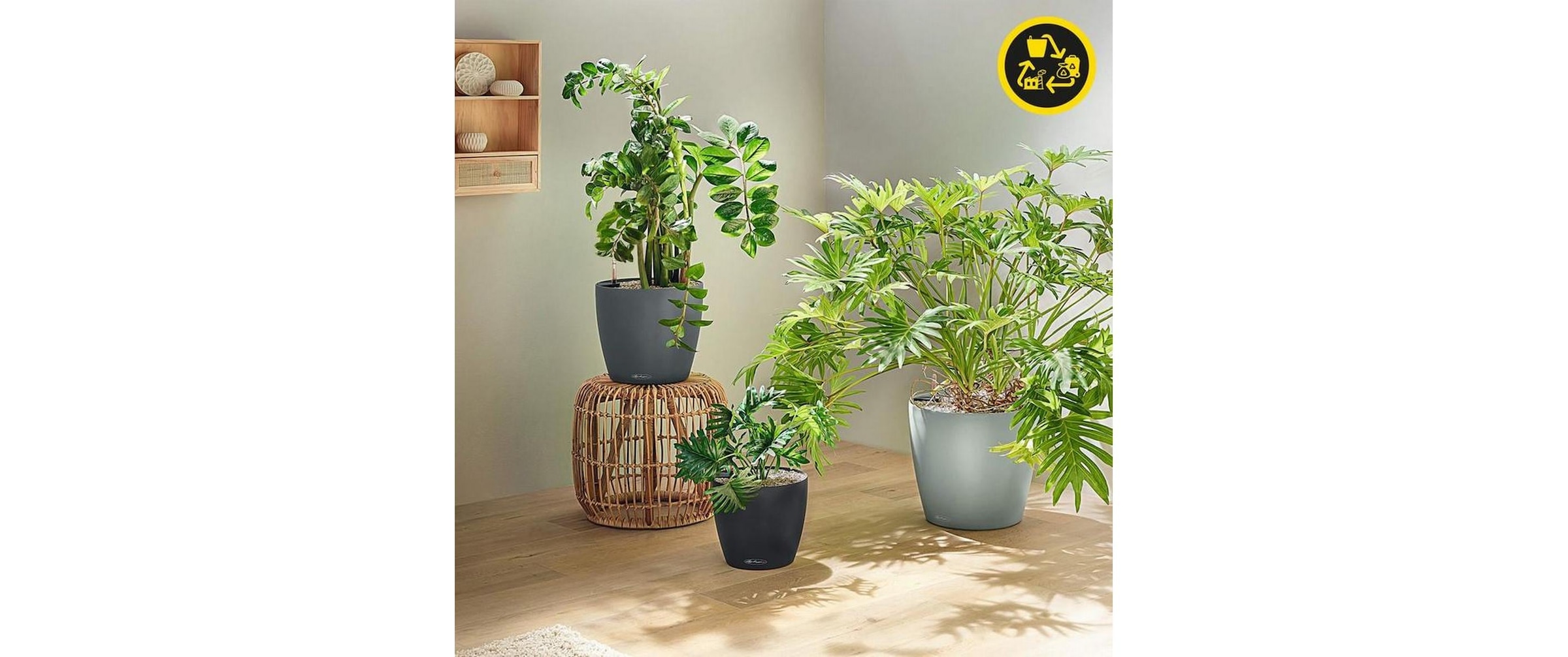   Bac à plantes »Lechuza CLASSICO Color Eco«