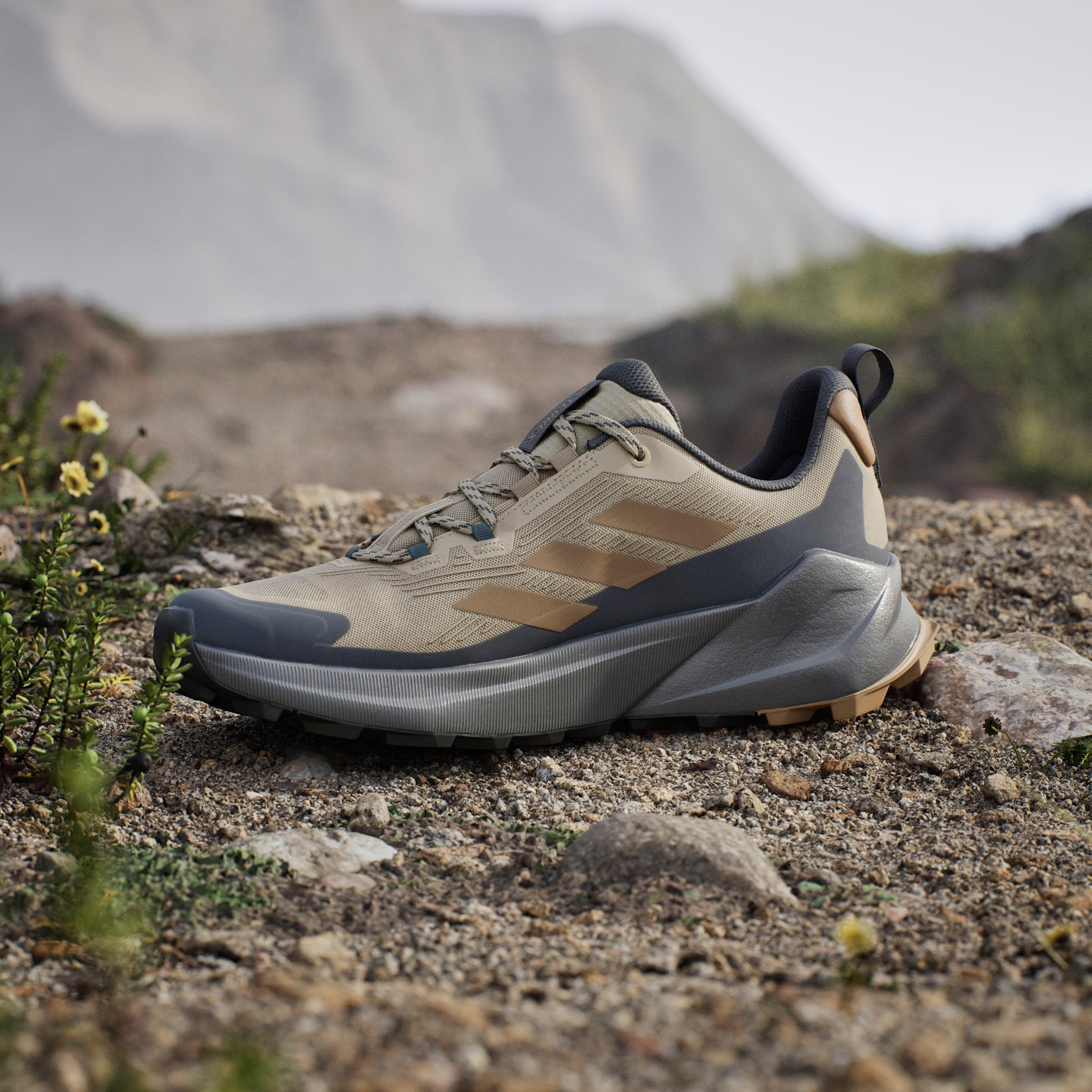 adidas TERREX Wanderschuh »TRAILMAKER 2«