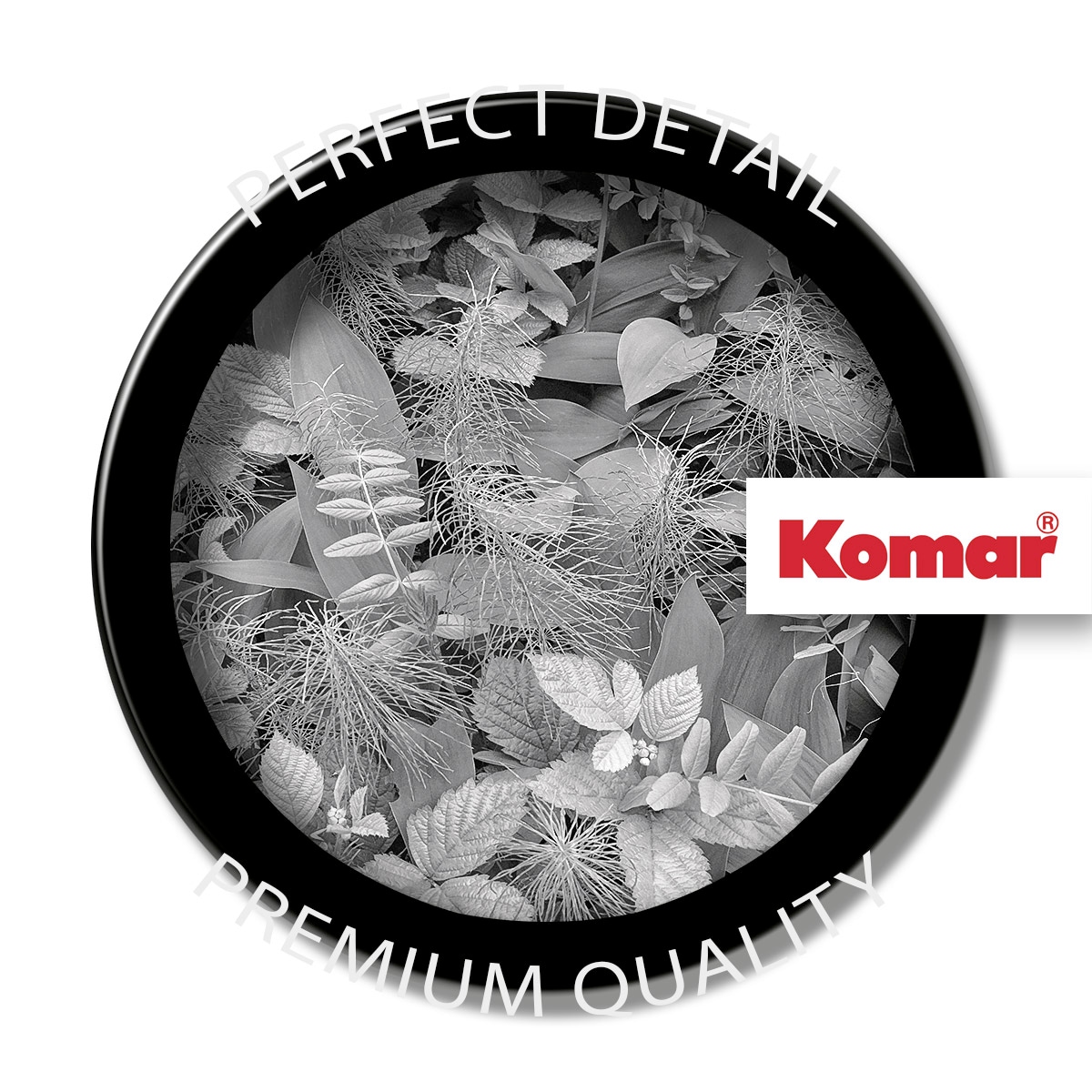 Komar Fototapete »Papier Fototapete - Forest Floor - Grösse 368 x 254 cm« Motiv | bedruckt glatt
