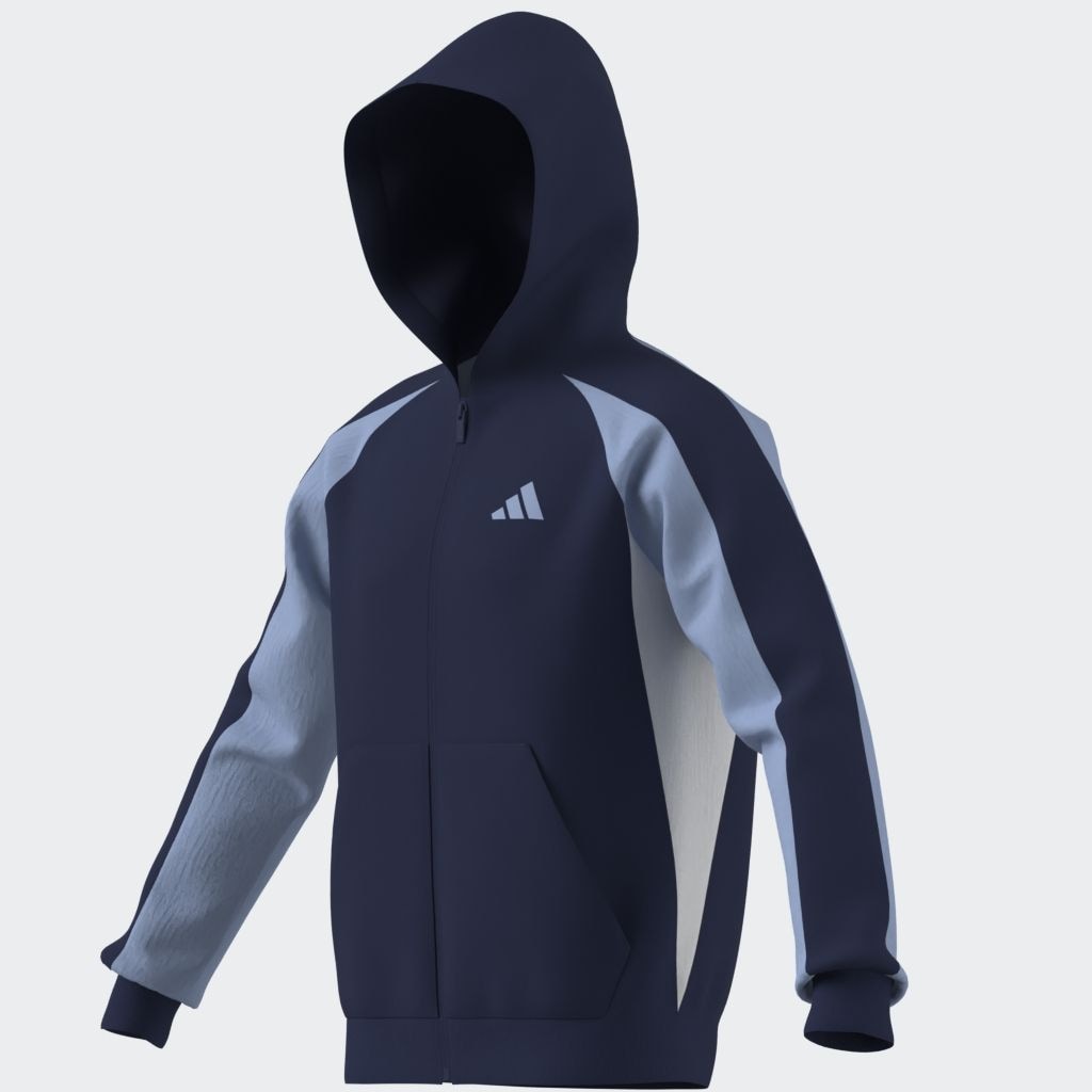 adidas Sportswear Kapuzensweatshirt »SEASONAL ESSENTIALS COLORBLOCK«

