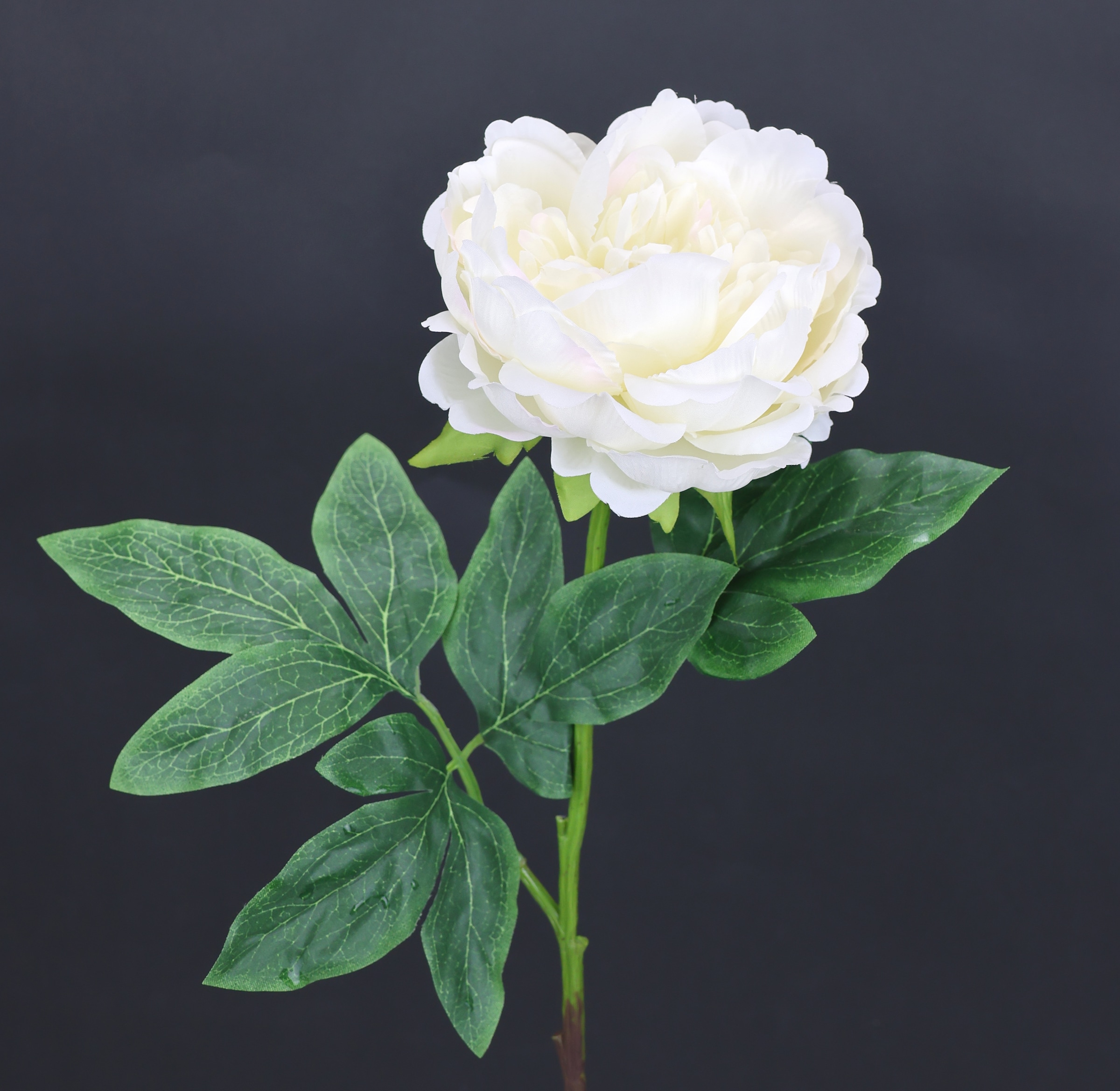 I.GE.A. Kunstblume »Päonie Bauernrose« Pfingstrosen Einzelblume, 3er Set