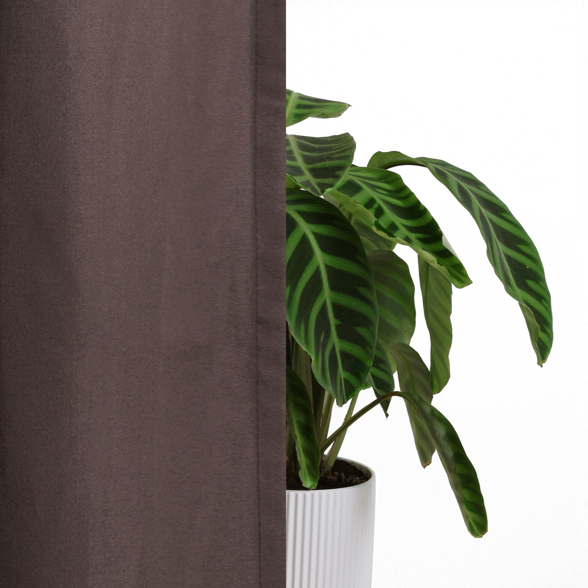 Bruno Banani Vorhang »Lagan« Kräuselband 2 Stk. tlg. 2-er Set, gewebt, Microfaser, versch. Grössen, einfarbig, Bestseller