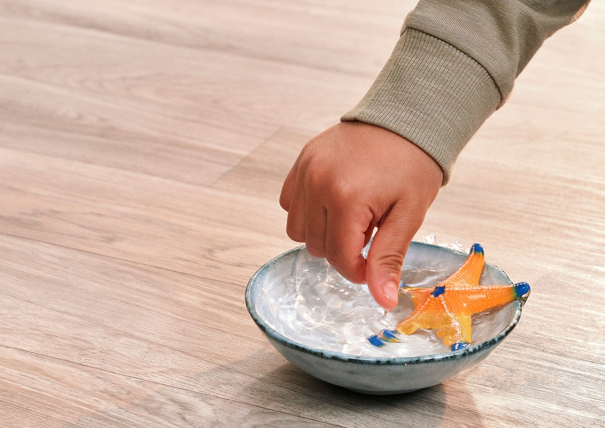 Schleich® Personnage de jeu »WILD LIFE, Seestern (14902)« mit Farbwechsel