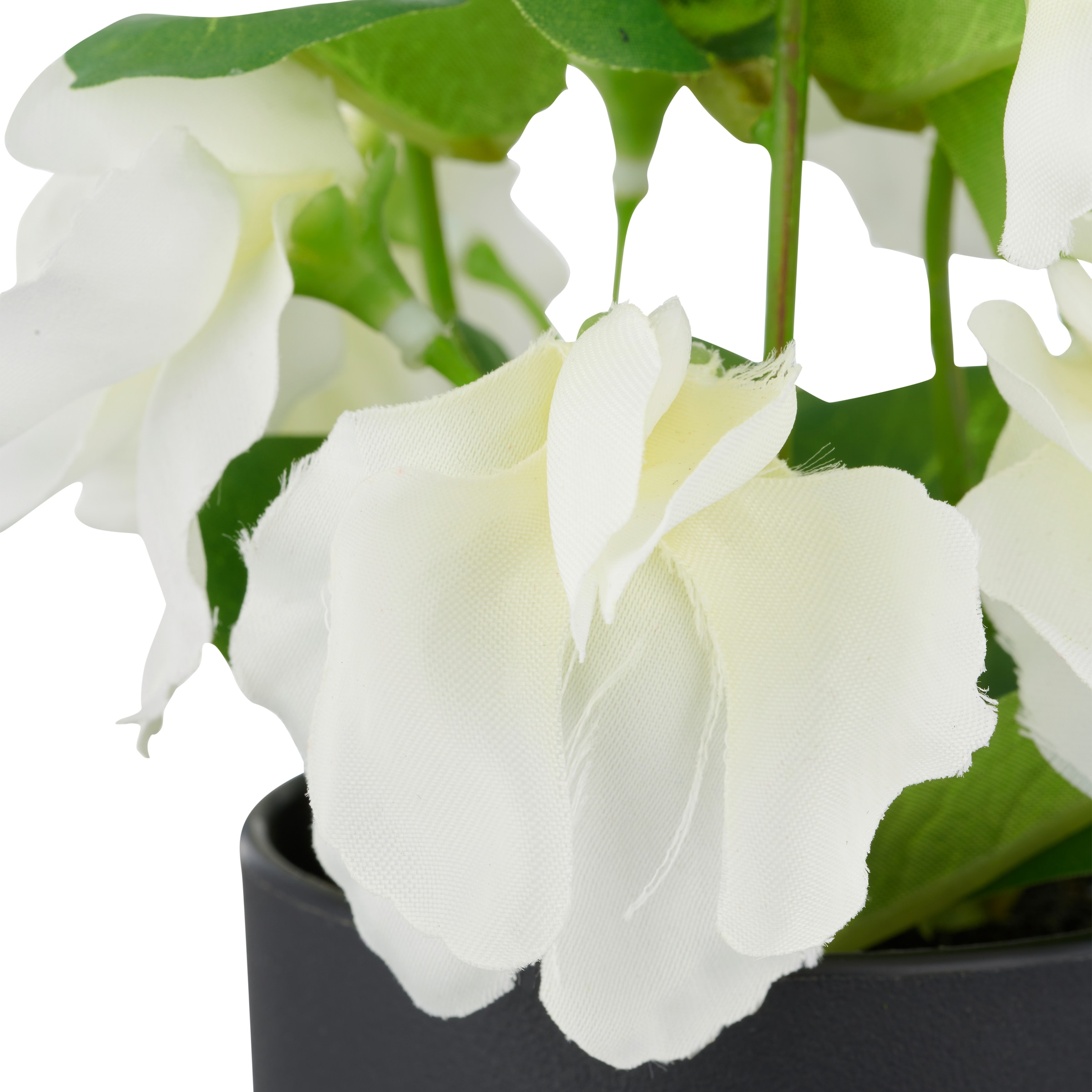 Creativ green Plante artificielle »Wicke« mit leuchtenden Blütenfarben