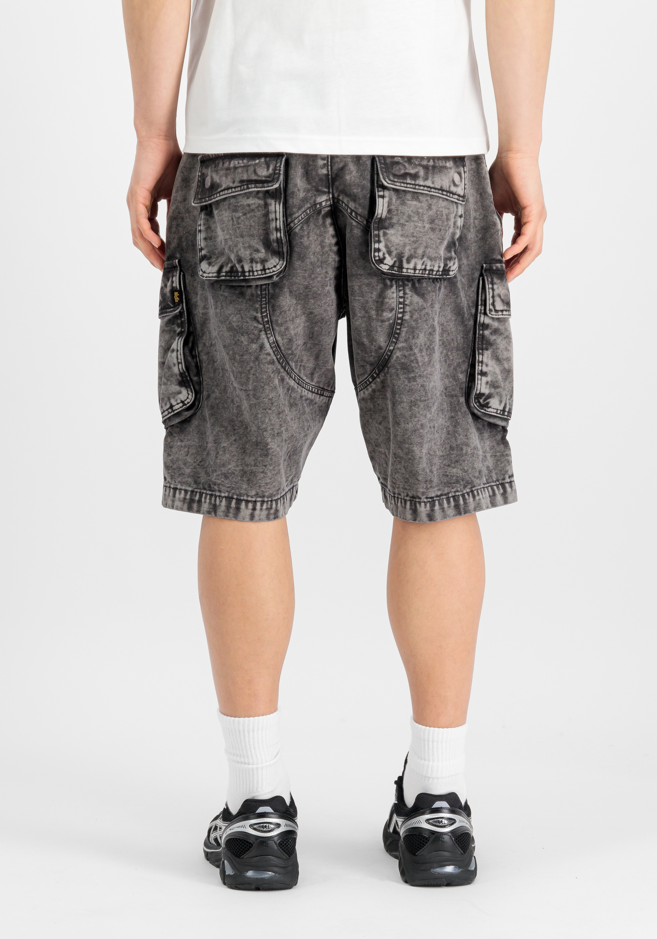 Alpha Industries Shorts »Canvas Acid Shorts«