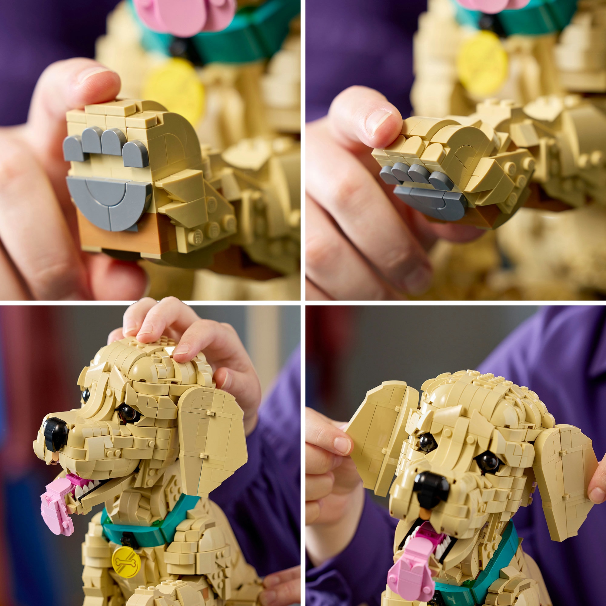 LEGO® Pions de construction »Golden Retriever Welpe (11384), LEGO Icons«