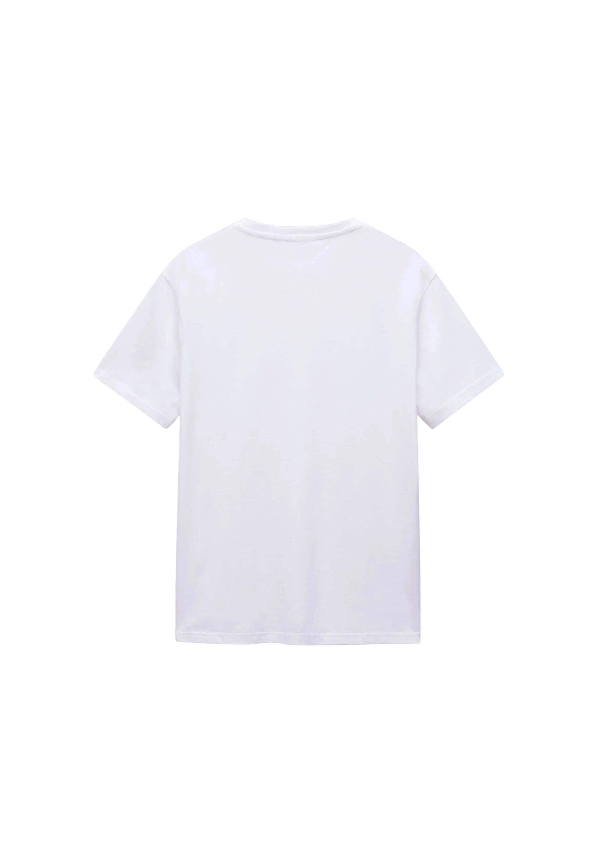 Napapijri T-Shirt »Napapijri T-Shirt SALIS SS«