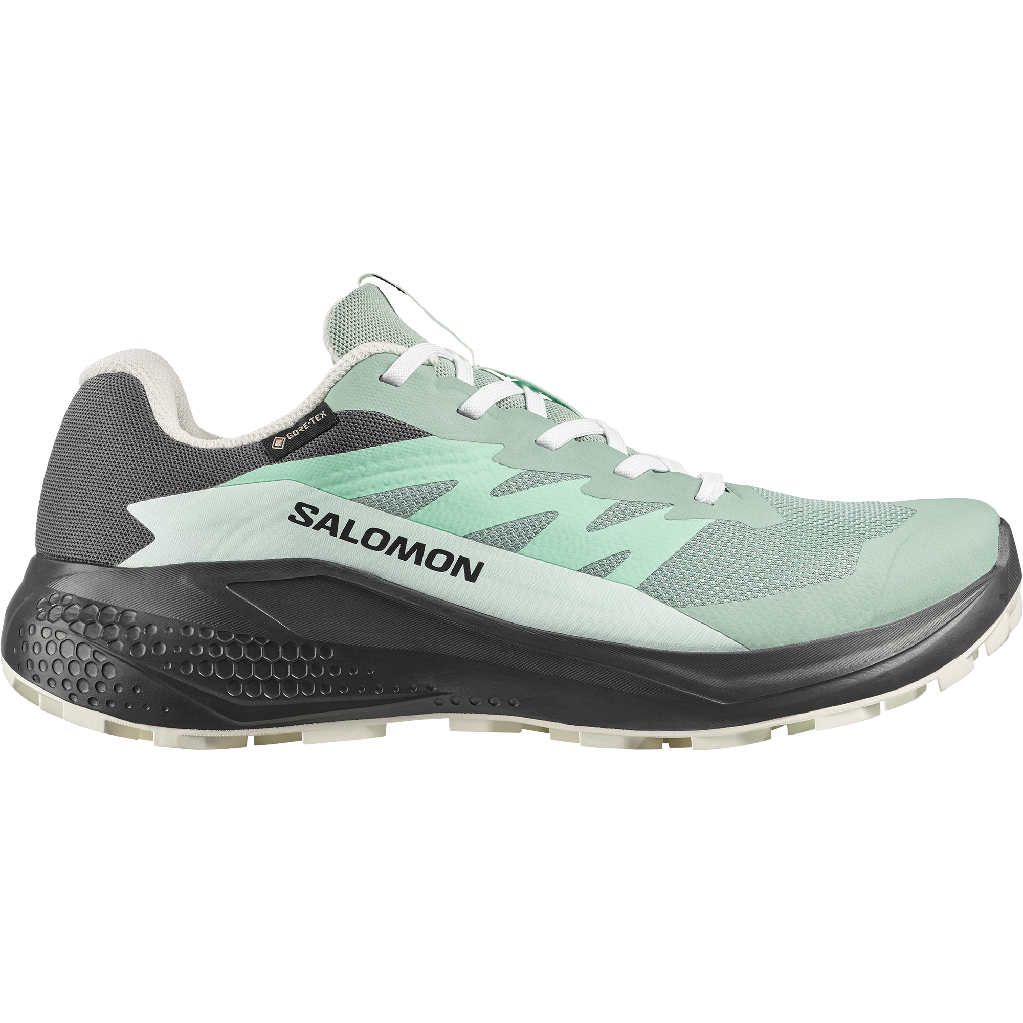 Salomon Trailrunningschuh »ALPHAGLIDE GTX W«  wasserdicht