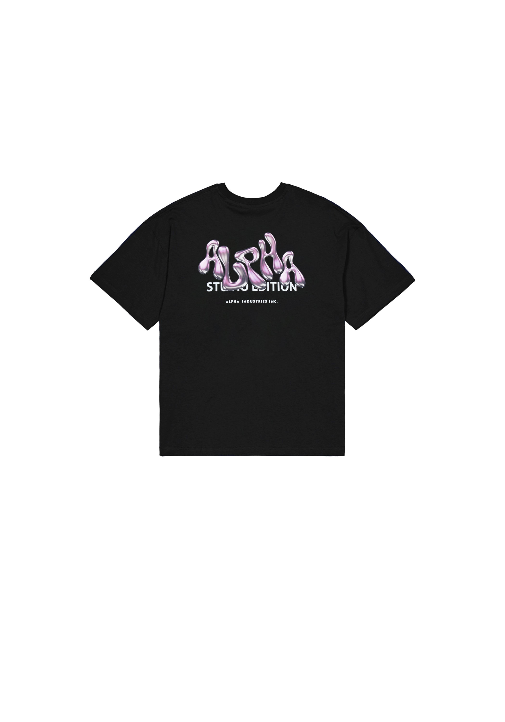 Alpha Industries T-Shirt »Studio Edition Backprint T-Shirt W«