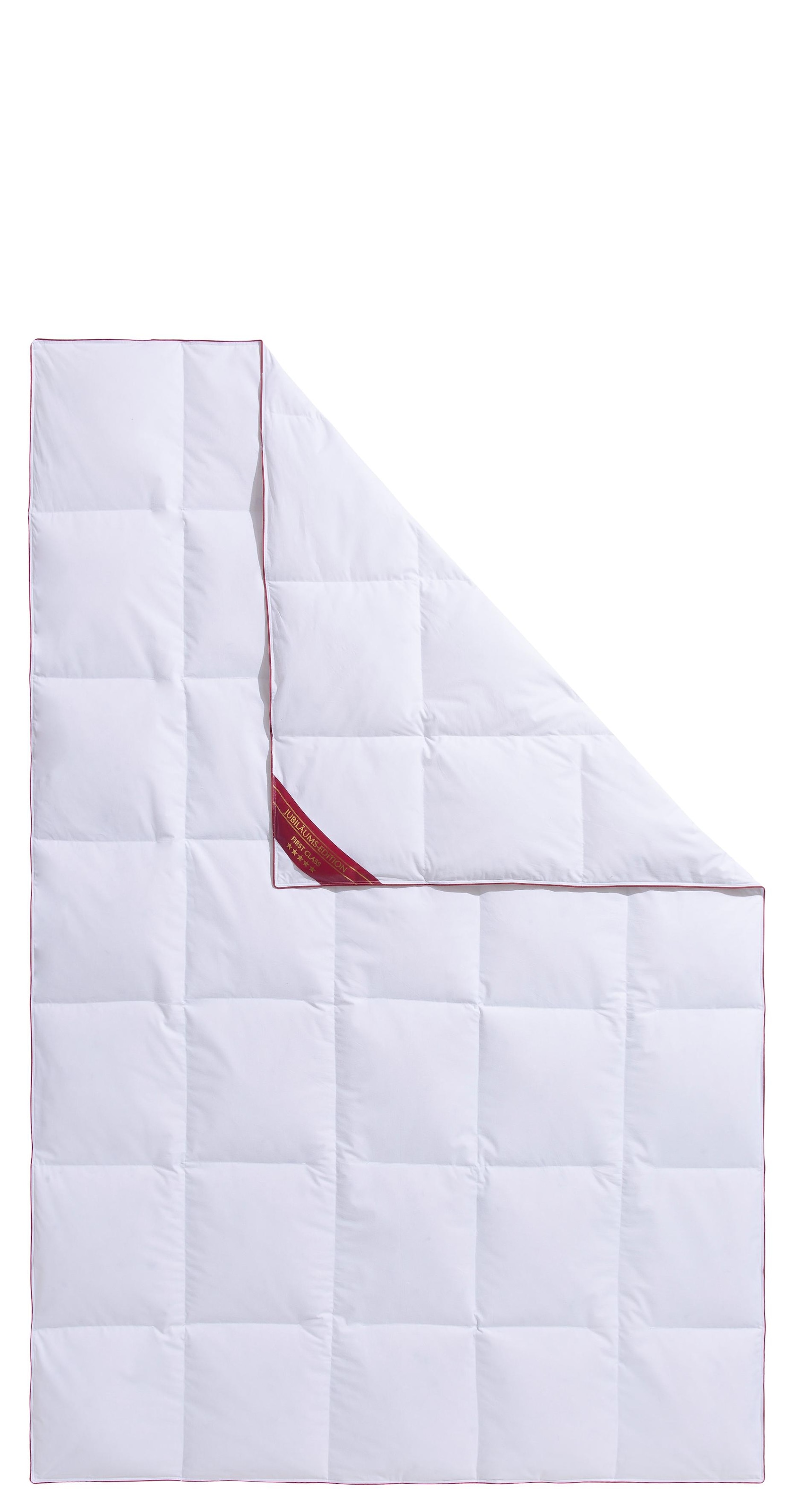 Hanse by RIBECO Couette en duvet »Jule« léger Füllung 90 duvet 10 plumes 1 cuis tlg. édition anniversaire