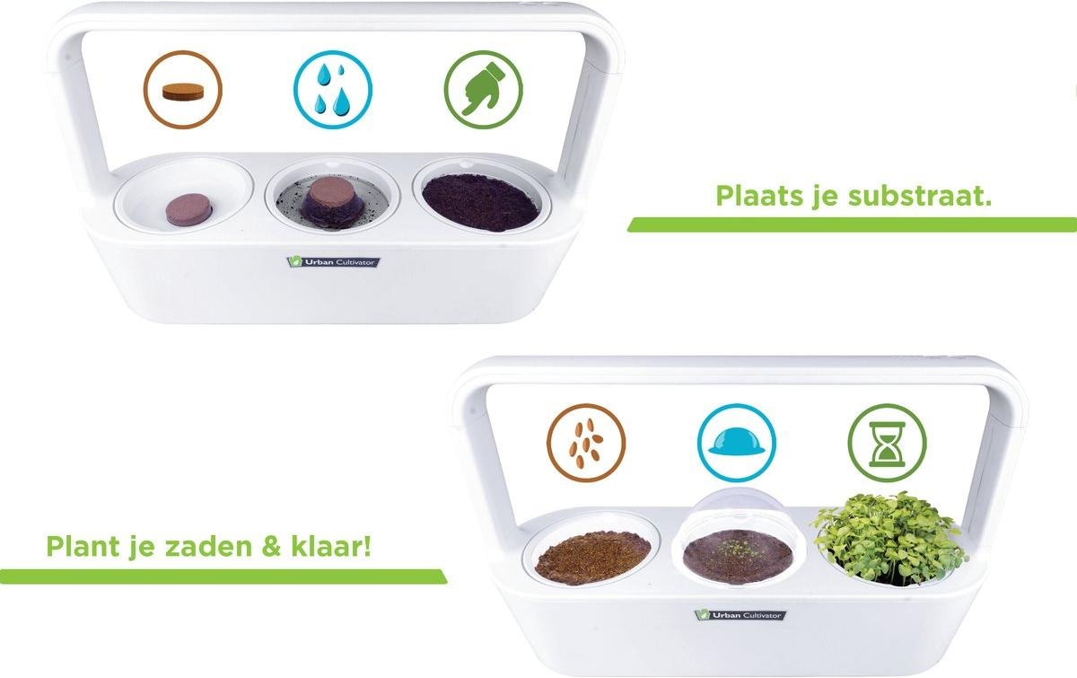 Click and Grow Jardinière »MicroBuddy, 38 cm« Kompakter Indoor-Kultivator für frische Microgreens