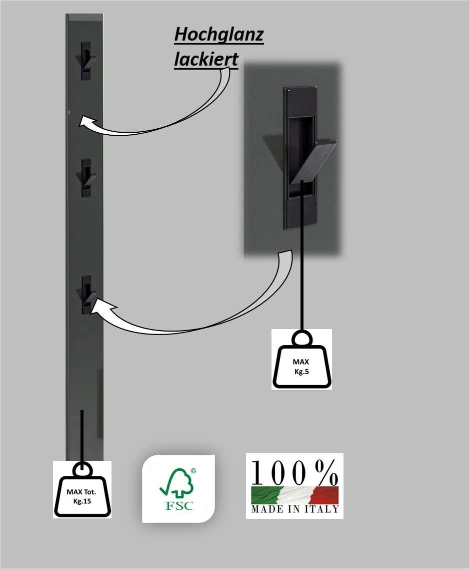 INOSIGN Panneau de vestiaire »TANKO, Garderobenpaneel,Garderobenleiste« mit 3 Klapphaken,hochglanz lackiert, 15x2x170 cm (1 St.)