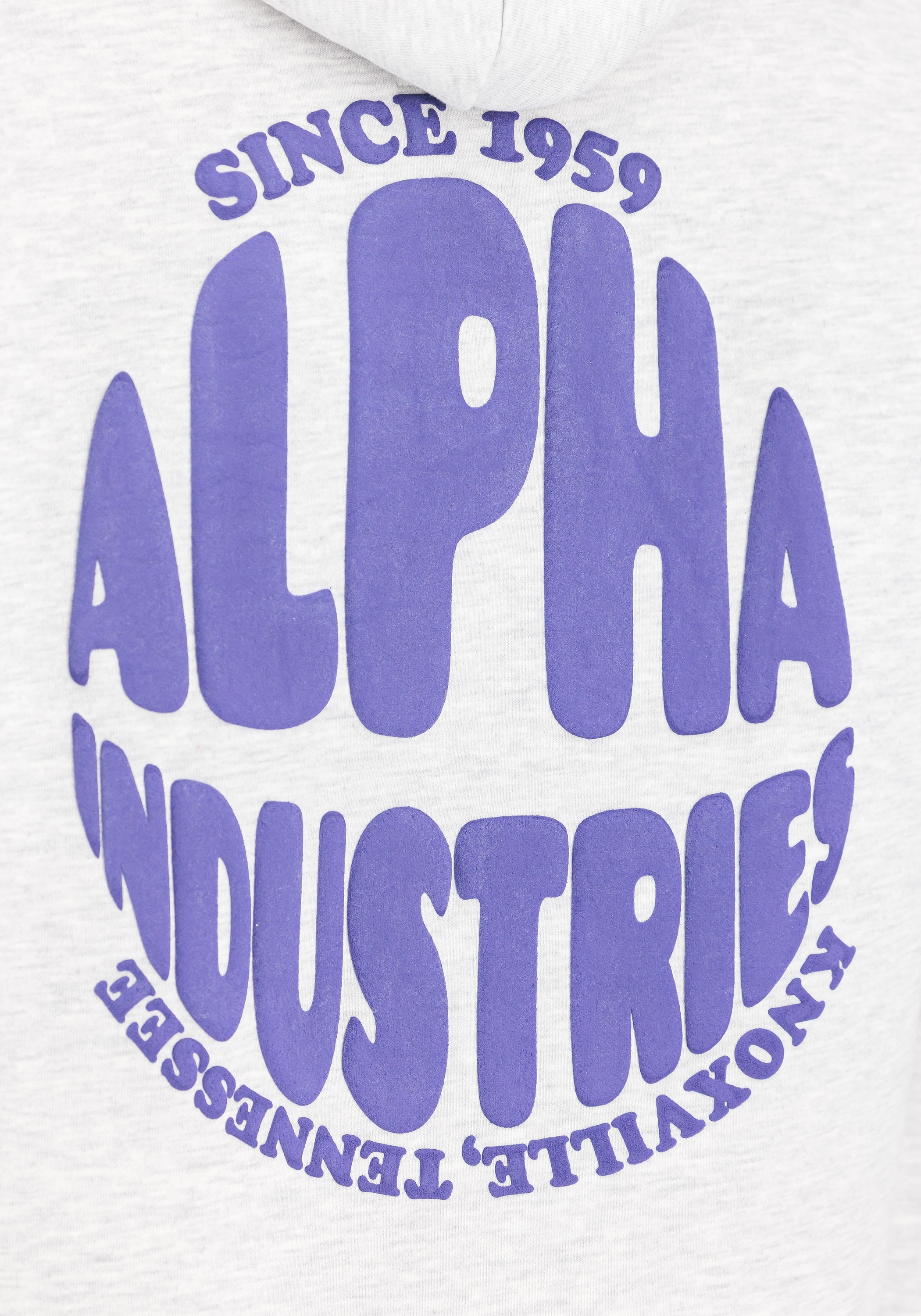 Alpha Industries Hoodie »Logo Hoodie Backprint W«
