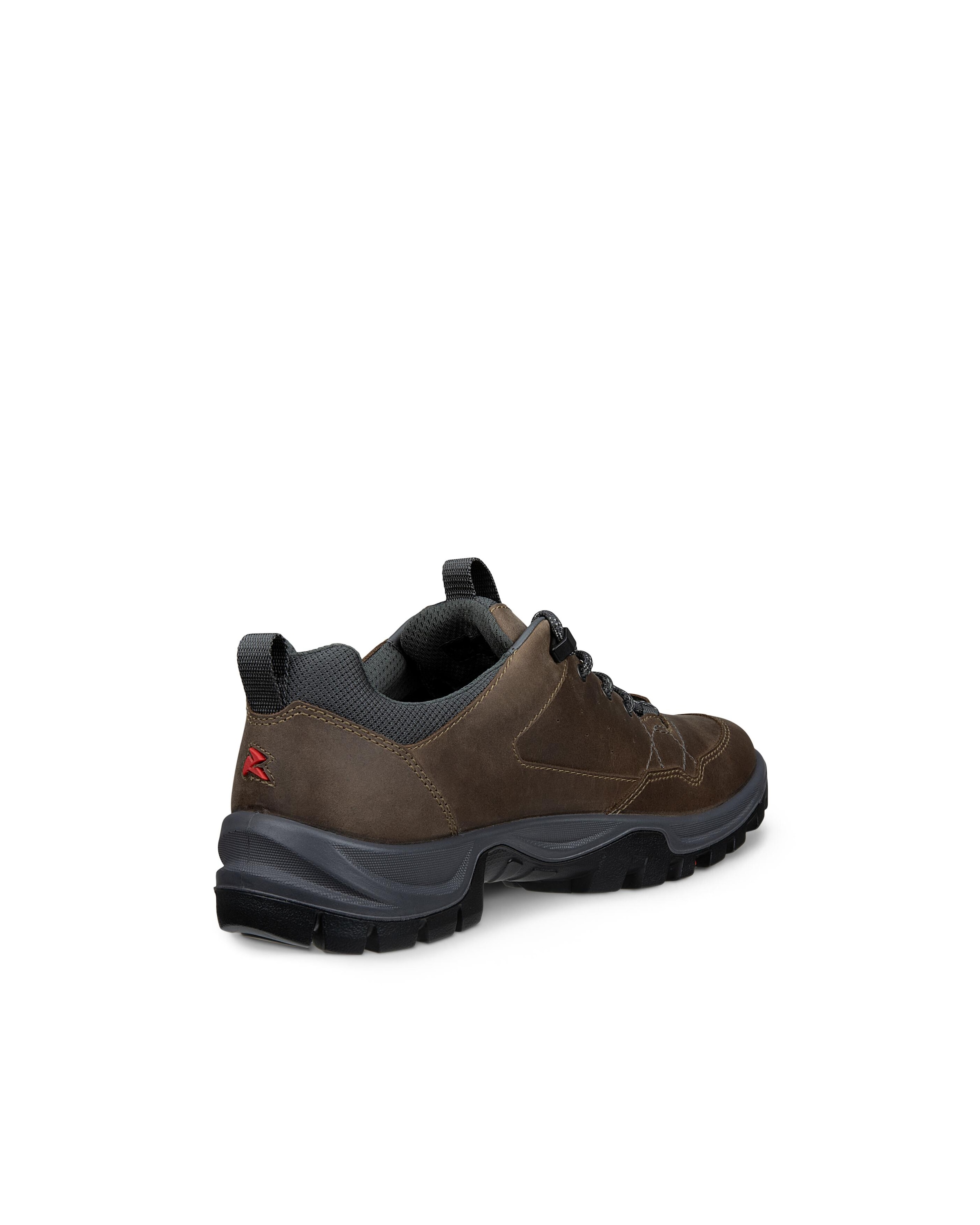 Ecco Outdoorschuh »ECCO RECEPTOR TREKK«  Wanderschuh, Halbschuh, Schnürschuh mit waterproof