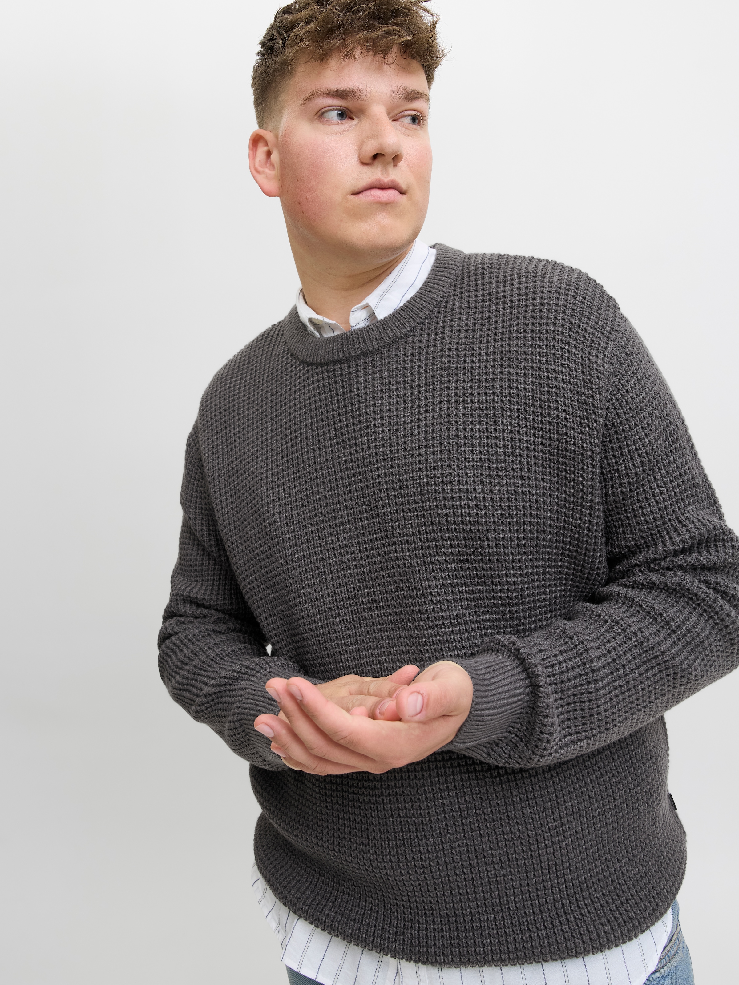 Jack & Jones PlusSize Pull en tricot »JJGLOBAL KNIT CREW NECK PLS«