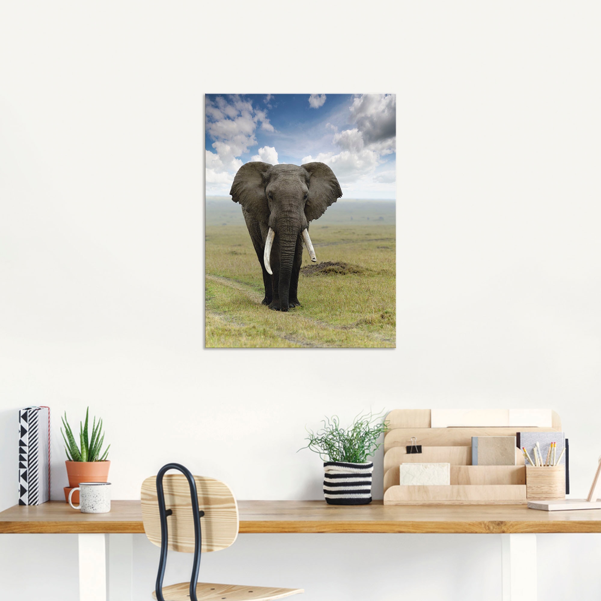Artland Wandbild »Elefant« Wildtiere 1 Stk. tlg. als Alubild, Leinwandbild in verschied. Grössen