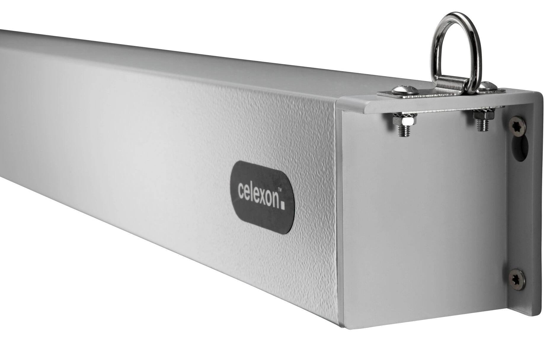 Celexon Motorleinwand »Pro Plus 240x150 cm«