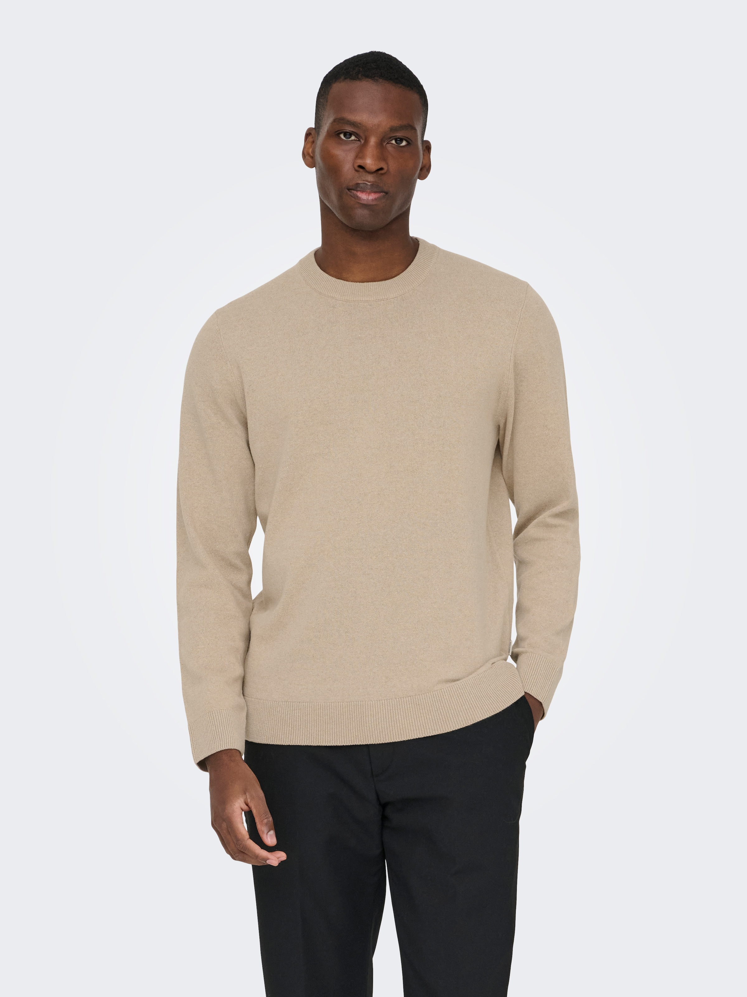 ONLY & SONS Pull à col rond »ONSREX LIFE REG 12 CREW KNIT«