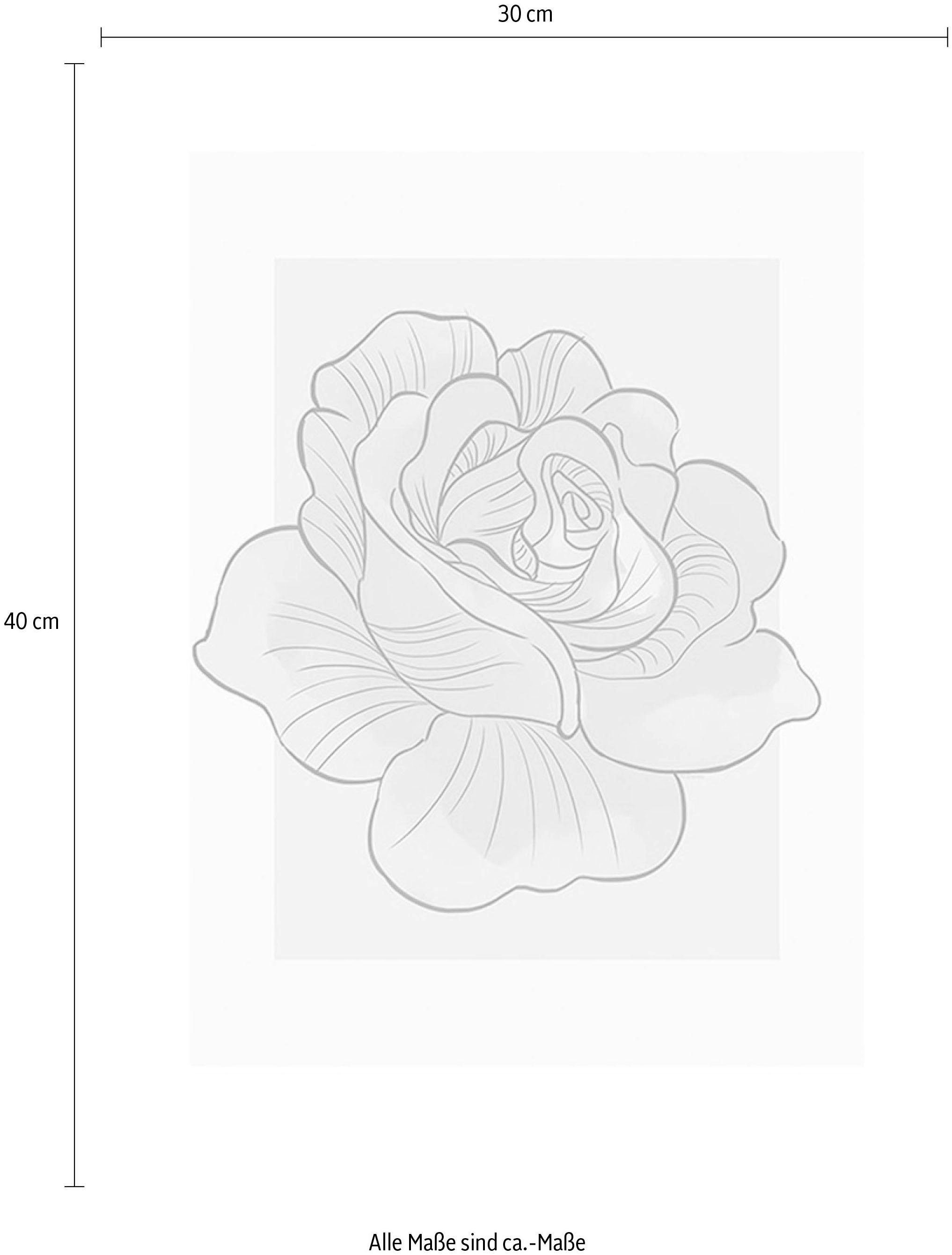 Komar Image »Cinderella Rose« 1 cuis tlg. Wandbild zur Dekoration im Kinderzimmer - ohne Rahmen