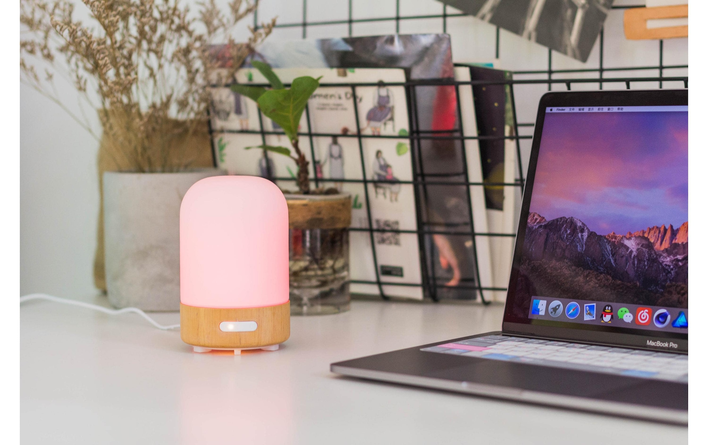 ohmex Diffuser »100 ml, 30 ml/h«