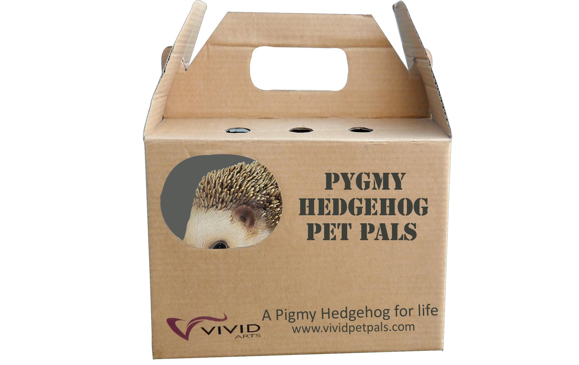   Figurine de décoration »Vivid Arts Igel, Polyresin, Braun«