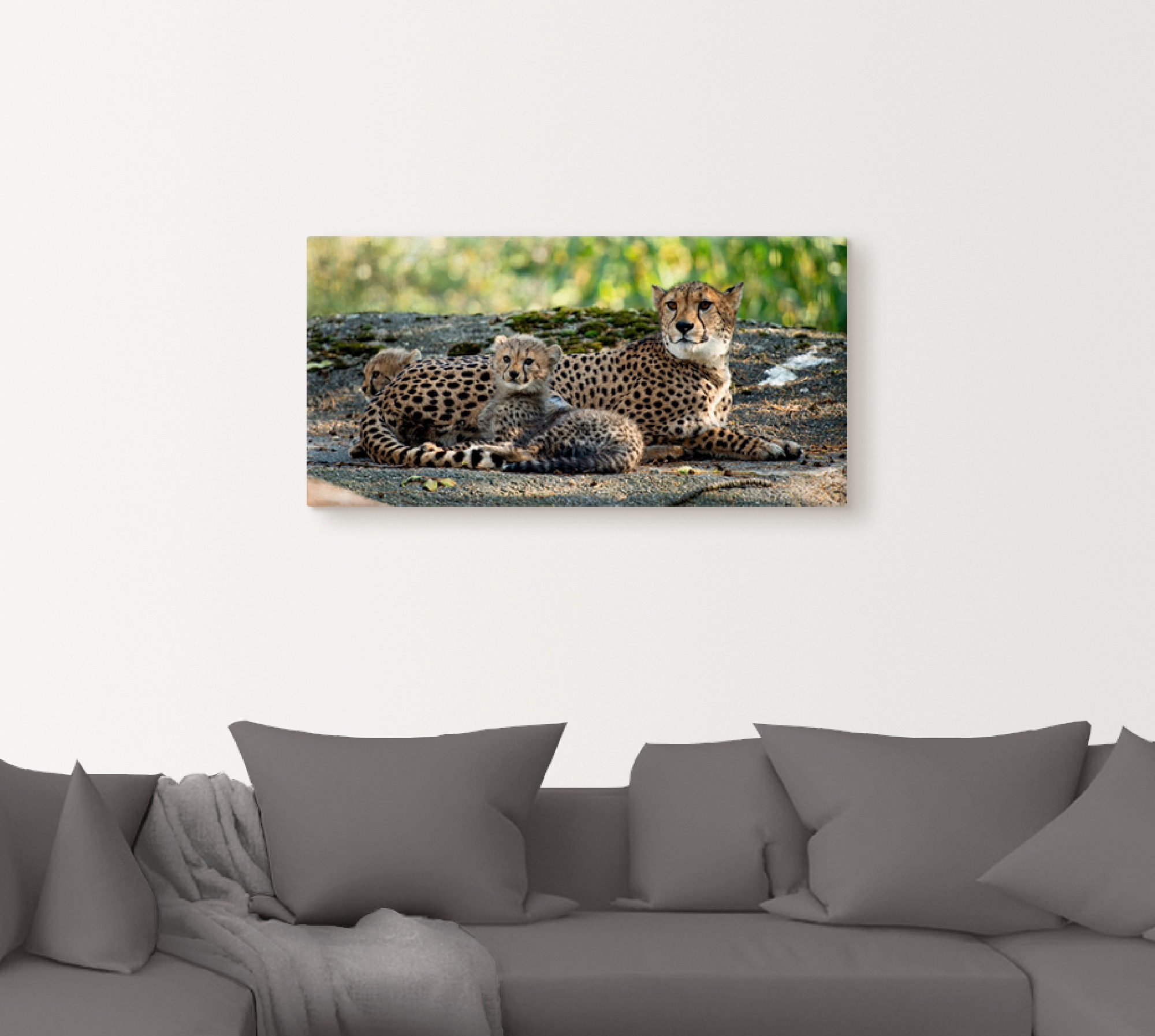 Artland Leinwandbild »Gepard 2« Wildtiere 1 Stk. tlg. auf Holzrahmen gespannt