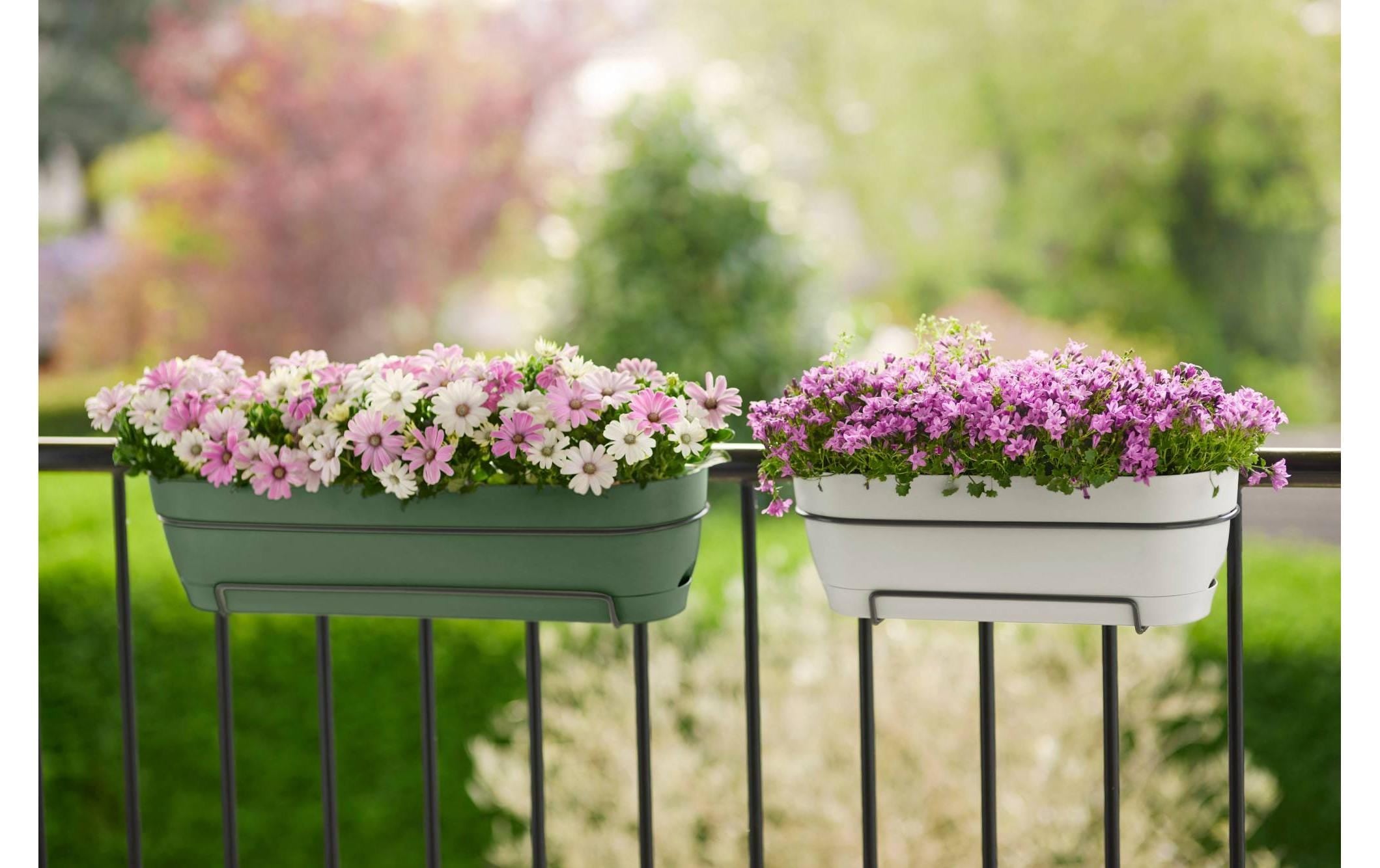 Elho Pot de fleurs »Vibia Campana Balkonkasten Allin1 50 cm«