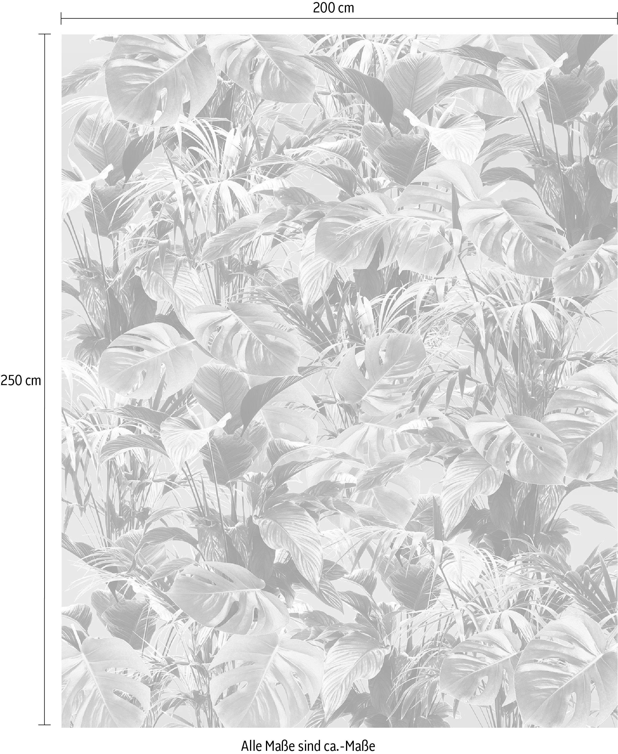 Komar Vliestapete »Digitaldruck Vlies -  Evergreen - Grösse 200 x 250 cm« bedruckt glatt Wohnzimmer, Schlafzimmer