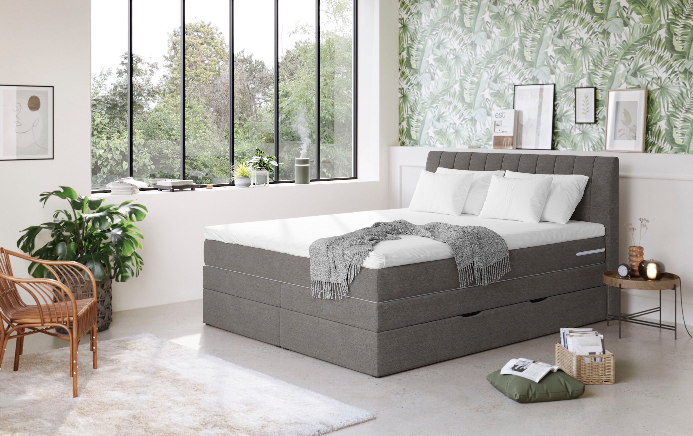 COTTA Lit boxspring »Shark inkl. Bettkasten und Topper« erhältlich in den Breiten 140x200cm, 160x200cm und 180x200cm