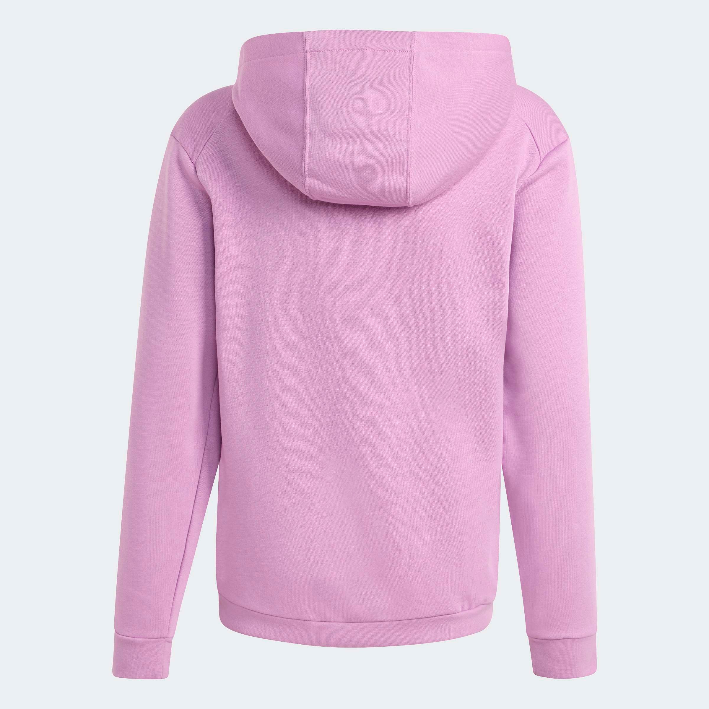 adidas TERREX Kapuzensweatshirt »K MT LOGO HD«
