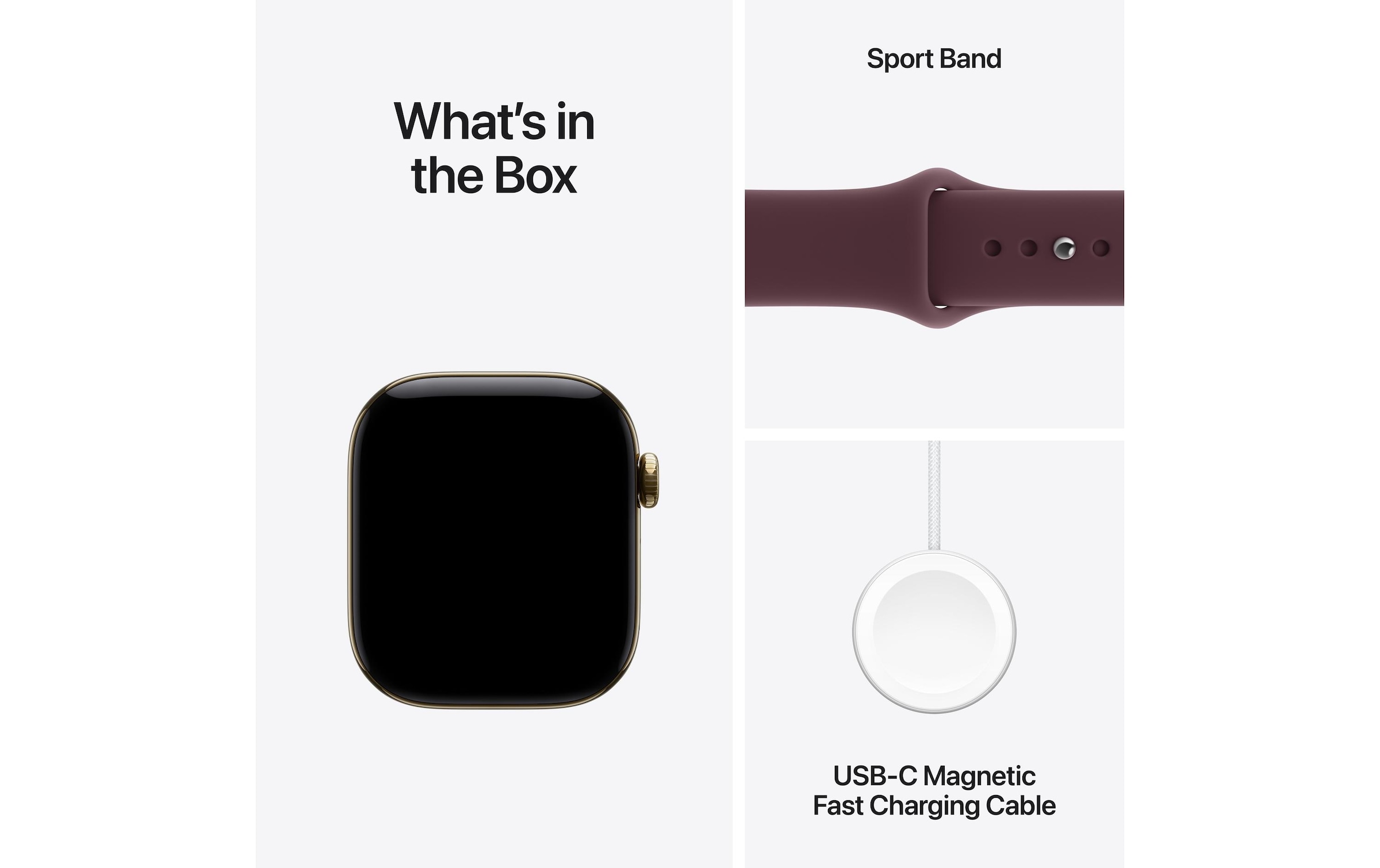 Apple Smartwatch »Apple Watch S12 CEL Titanium, Sportband «(42/ 1,65 ″)