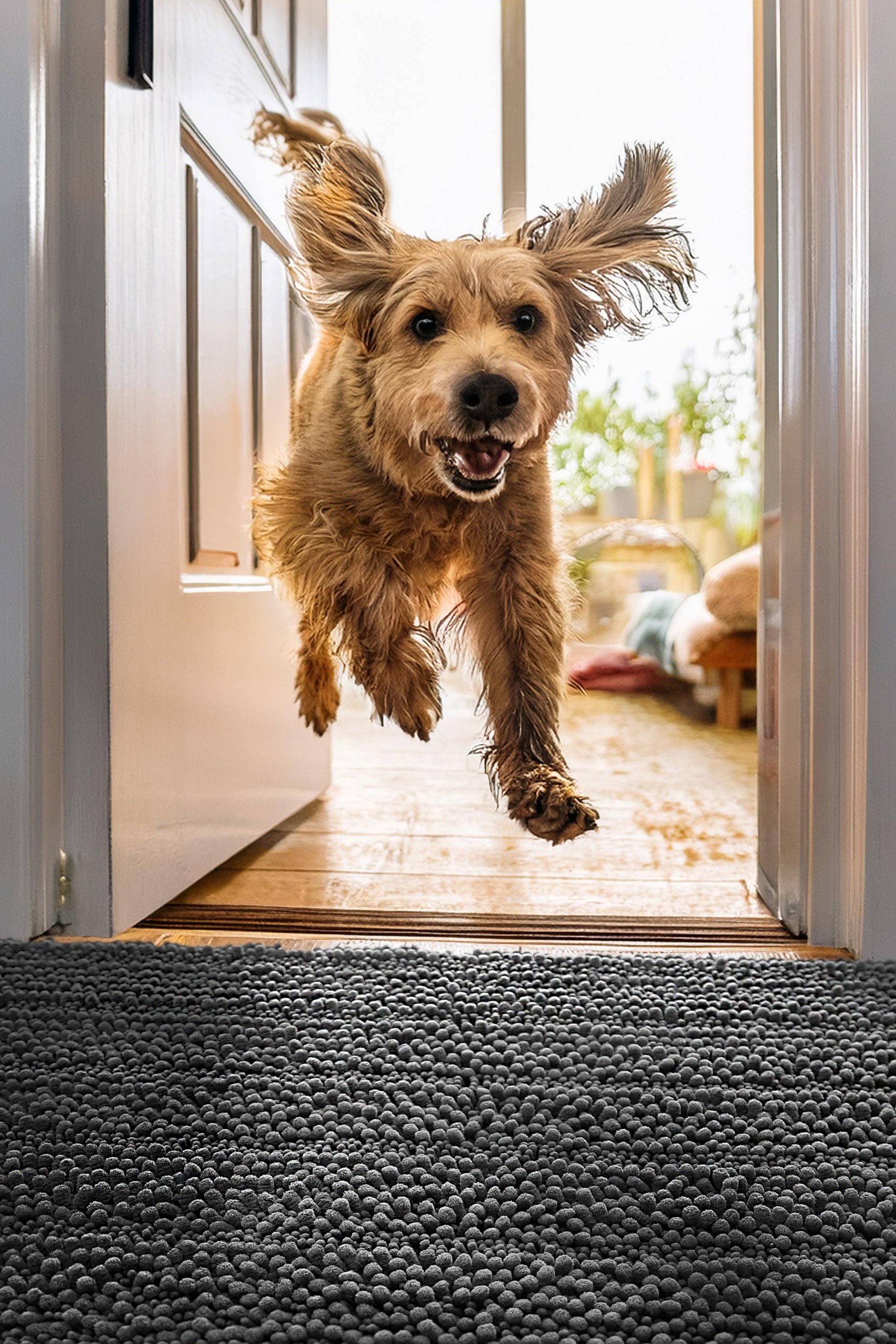 Wecon home Tapis »Cooper« Rectangulaire 22 mm Höhe tapis pour animaux domestiques, antidérapant, lavable, tapis en chenille doux