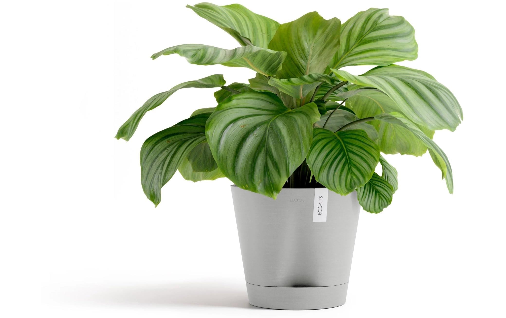 ECOPOTS Blumentopf »Venice 2 30 Weissgrau« für den Innenbereich