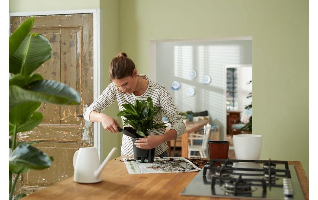 Elho Pot de fleurs »Selbstbewässerungssystem«