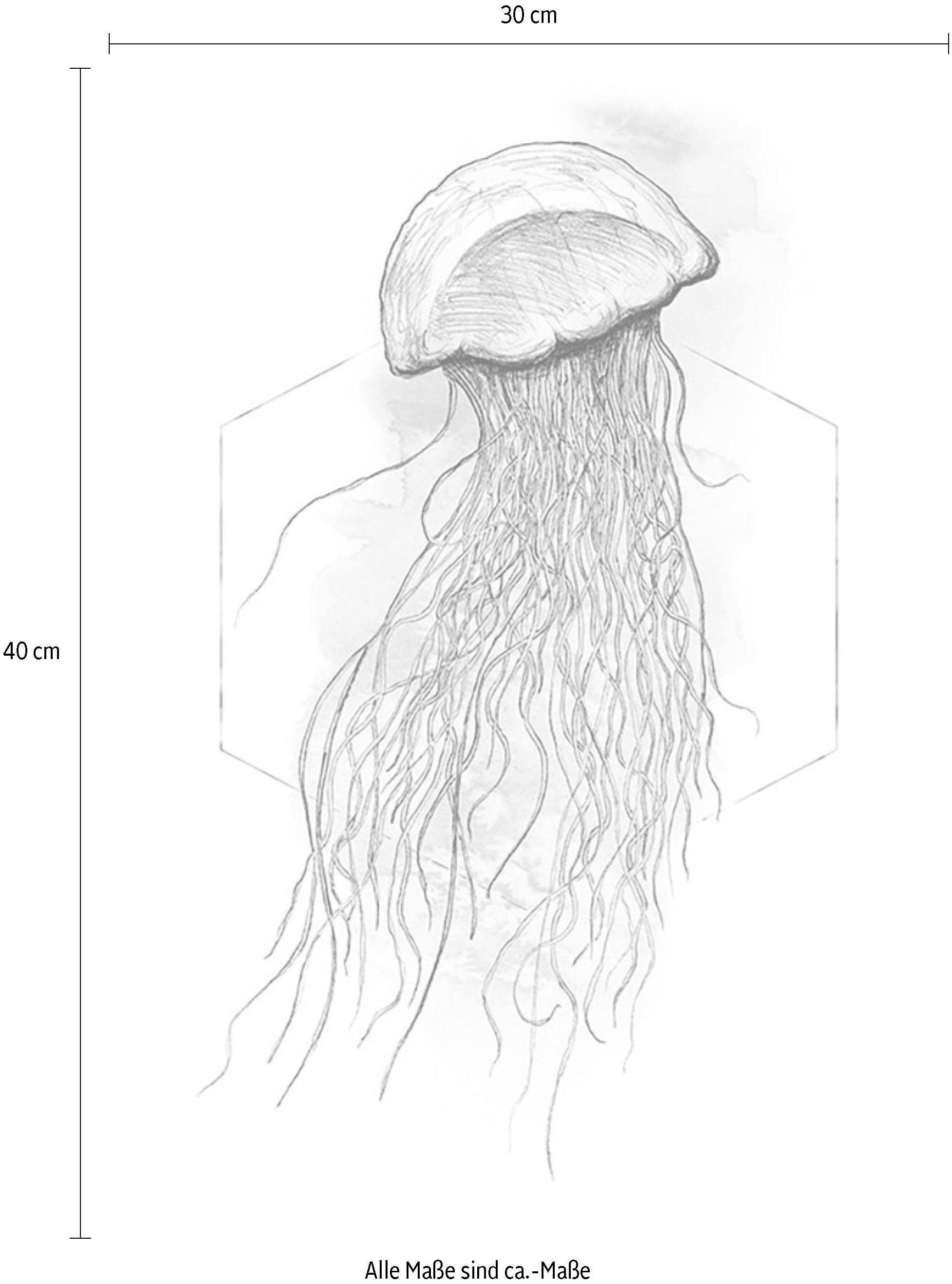 Komar Image »Jellyfish Watercolor« 1 cuis tlg. Wandbild zur Dekoration - ohne Rahmen