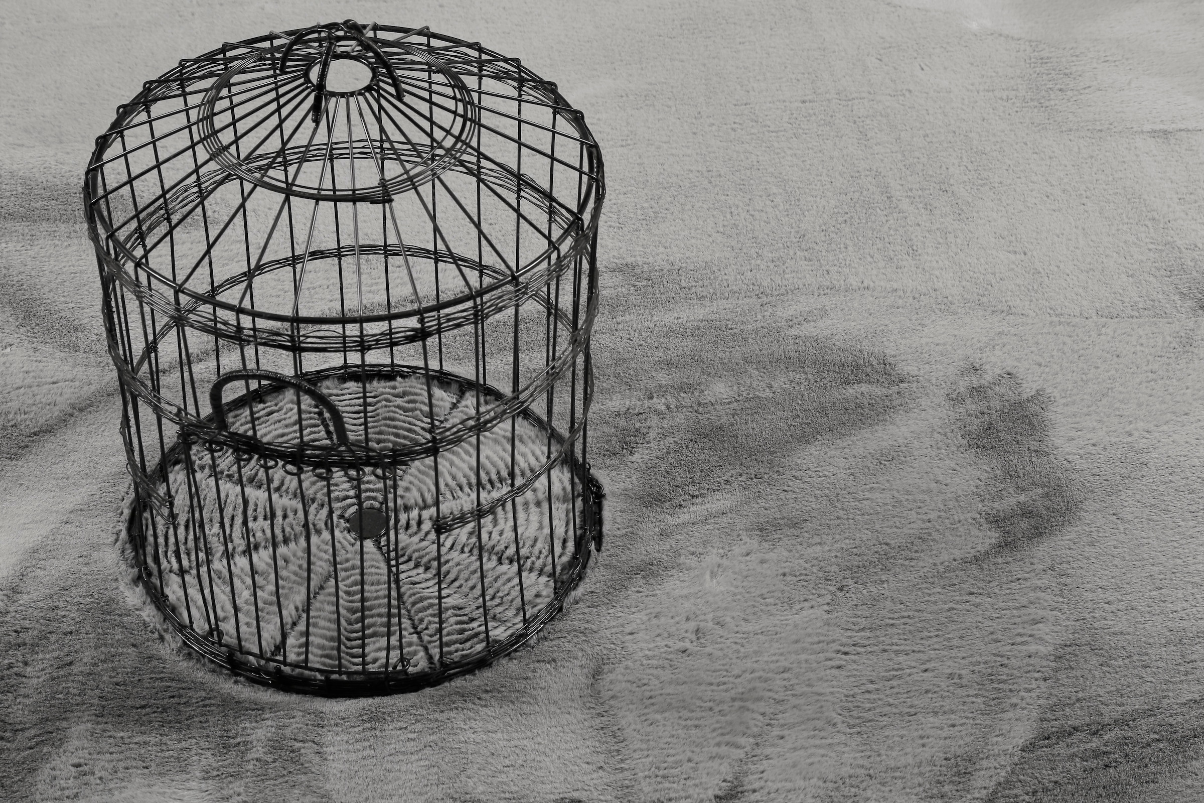 Esprit Tapis à poils longs »Alice  ESP-4377  Kunstfell« Rond 25 mm Höhe Kaninchenfell-Haptik, besonders weich und dicht, für alle Räume