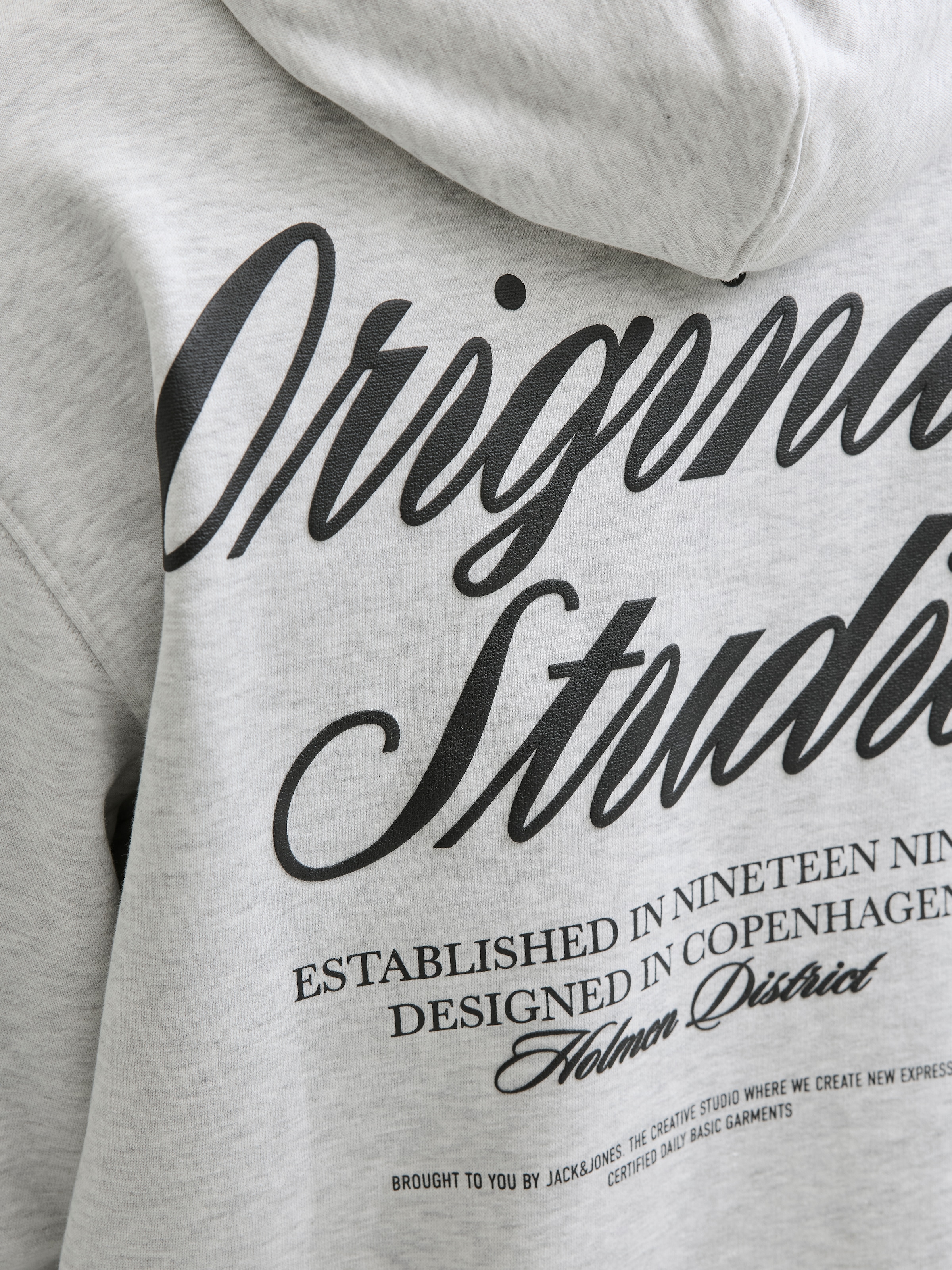 Jack & Jones Kapuzensweatshirt »JORNORREBRO TYPO BACK SWEAT HOOD SN« mit Print