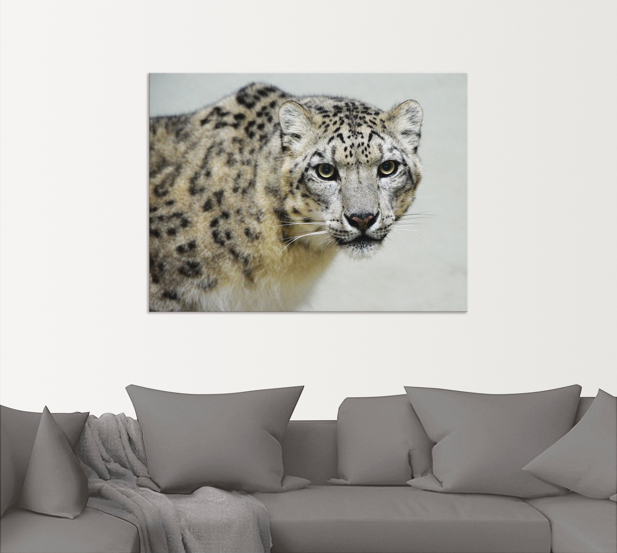 Artland Wandbild »Schneeleopard« Wildtiere 1 Stk. tlg. als Alubild, Leinwandbild in verschied. Grössen