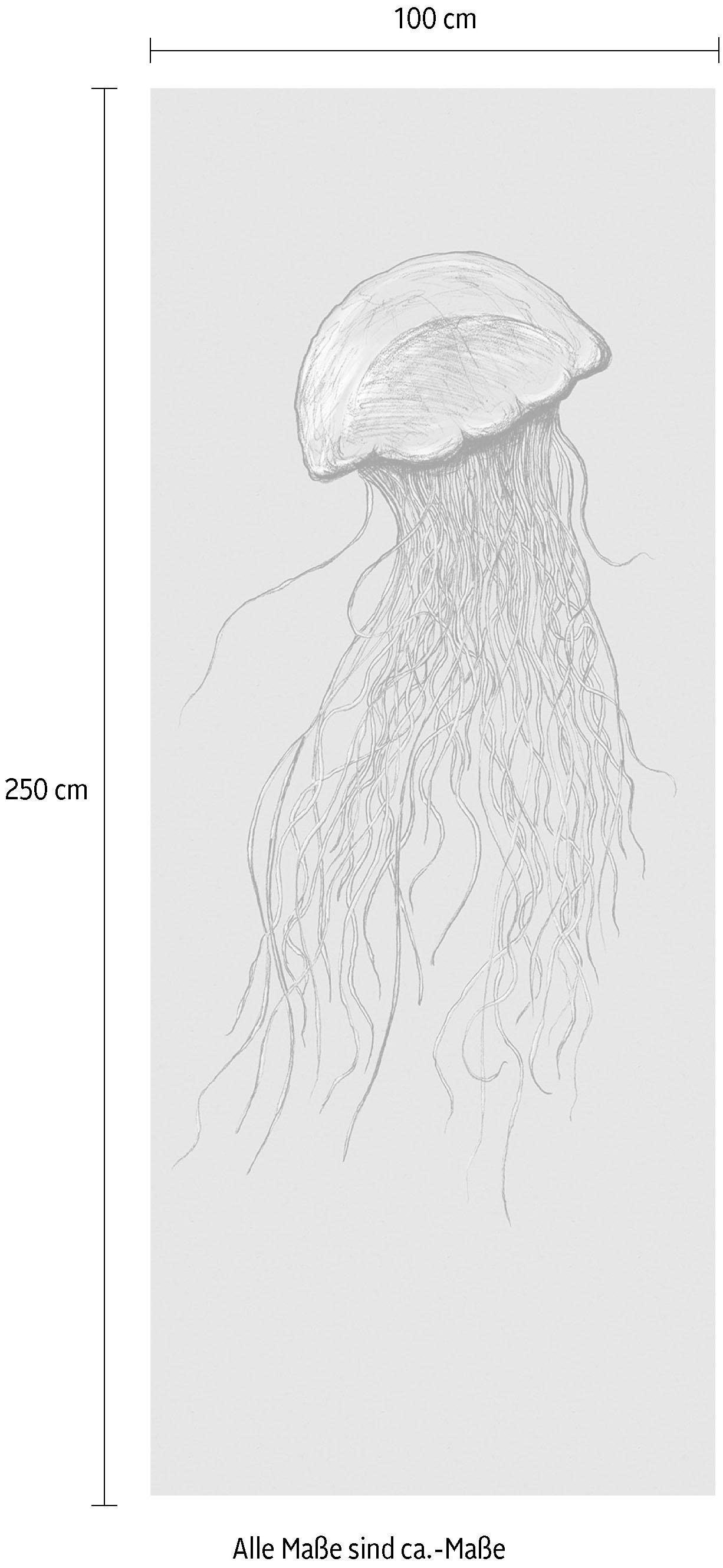 Komar Vliestapete »Digitaldruck Vlies -  Jellyfish Panel - Grösse 100 x 250 cm« bedruckt glatt Wohnzimmer, Schlafzimmer