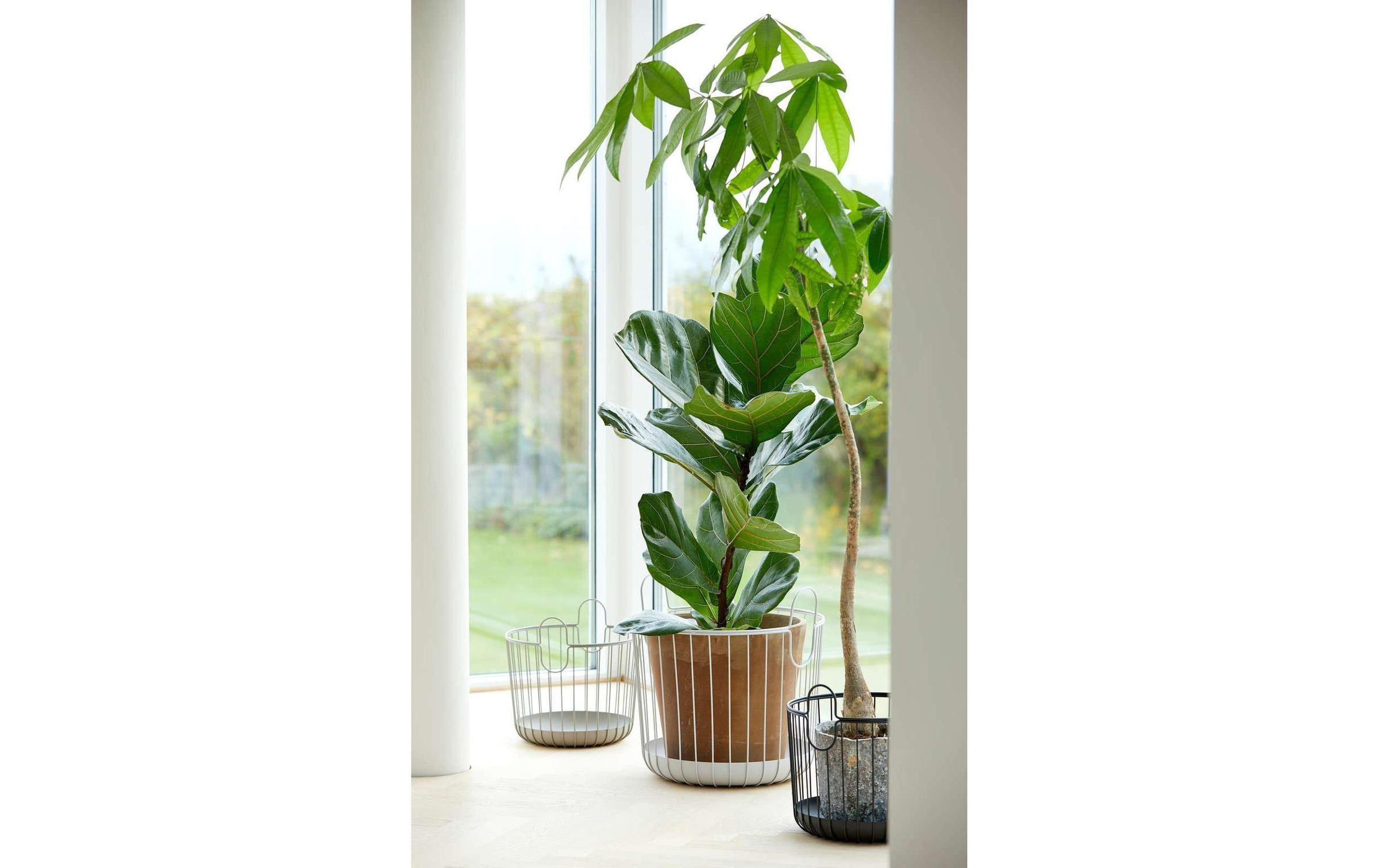 Zone Denmark Aufbewahrungskorb »Inu Ø 30 cm«