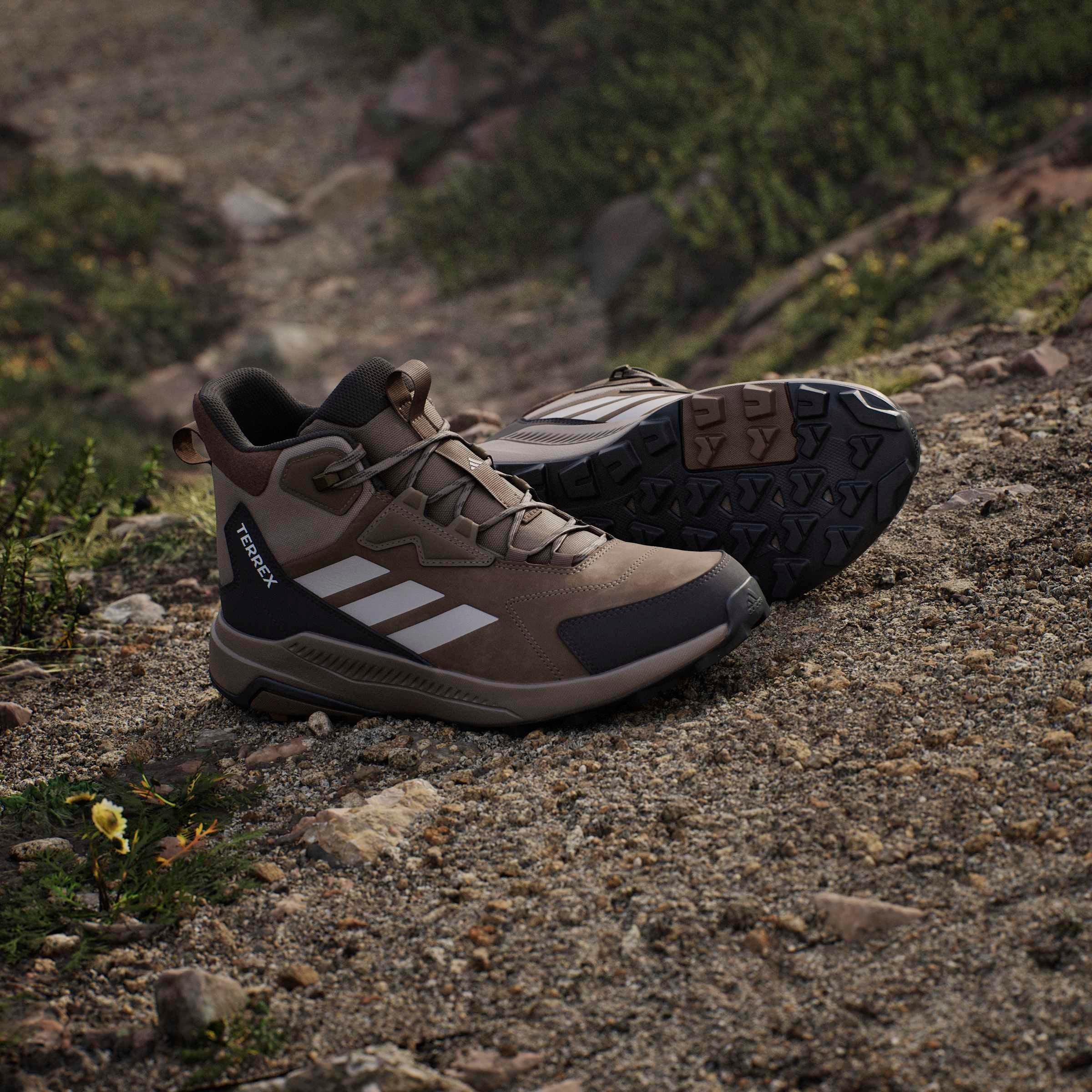 adidas TERREX Chaussure de randonnée »ANYLANDER MID , LEDER«  en cuir