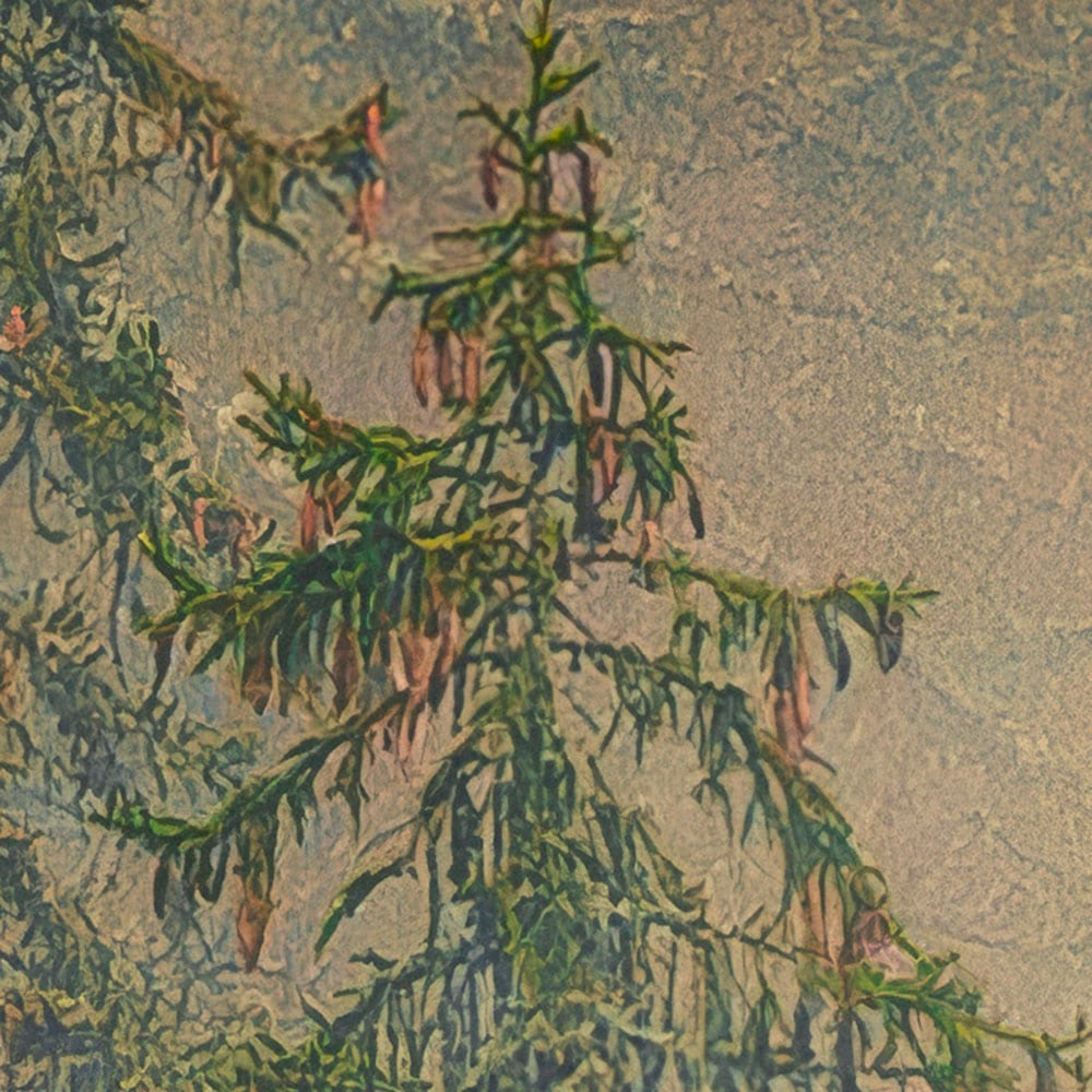 Komar Fototapete »Vlies Fototapete - Mystical Firs - Grösse 400 x 250 cm« Motiv | bedruckt glatt