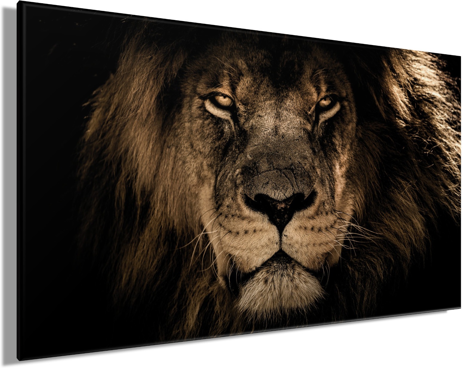 Bönninghoff Tableau sur toile »Wandbild LÖWENKOPF XXL 90x150 cm – Leinwandbild Keilrahmen Deko modern« Animaux sauvages | Lion | Lions 1 cuis tlg. tendu sur châssis