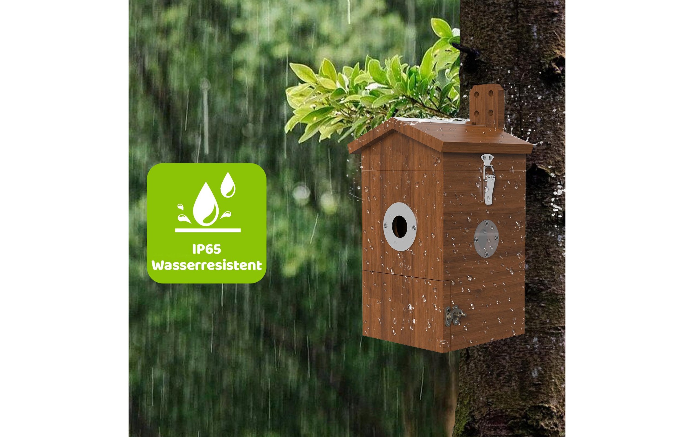   Nistkasten »Sanilu Vogel mit Kamera und Solarpanel«