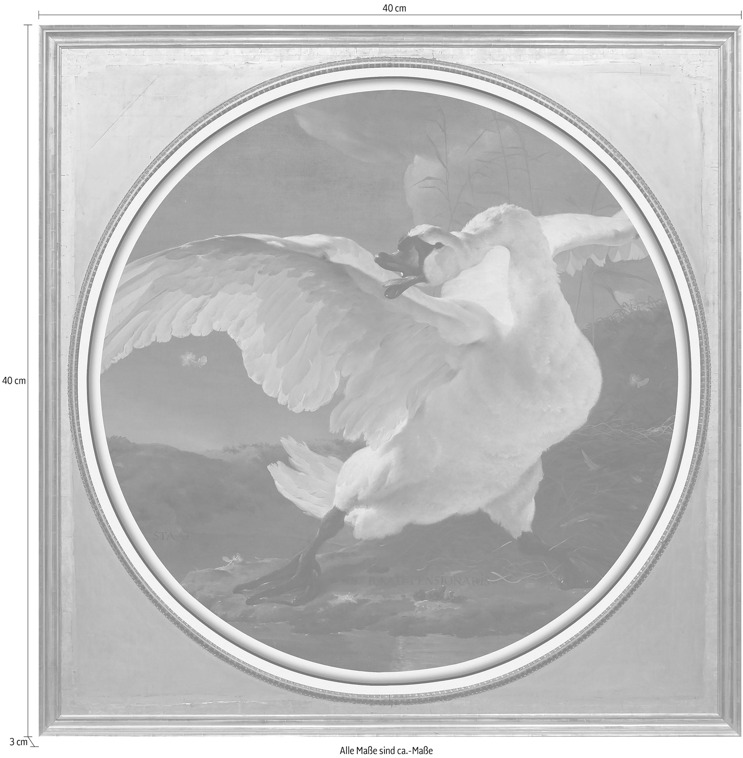 queence Acrylglasbild »Weisser Schwan« Ente | Enten | Gemälde | Kunst | Vogelbilder | Vögel Fine Art-Print in Galeriequalität