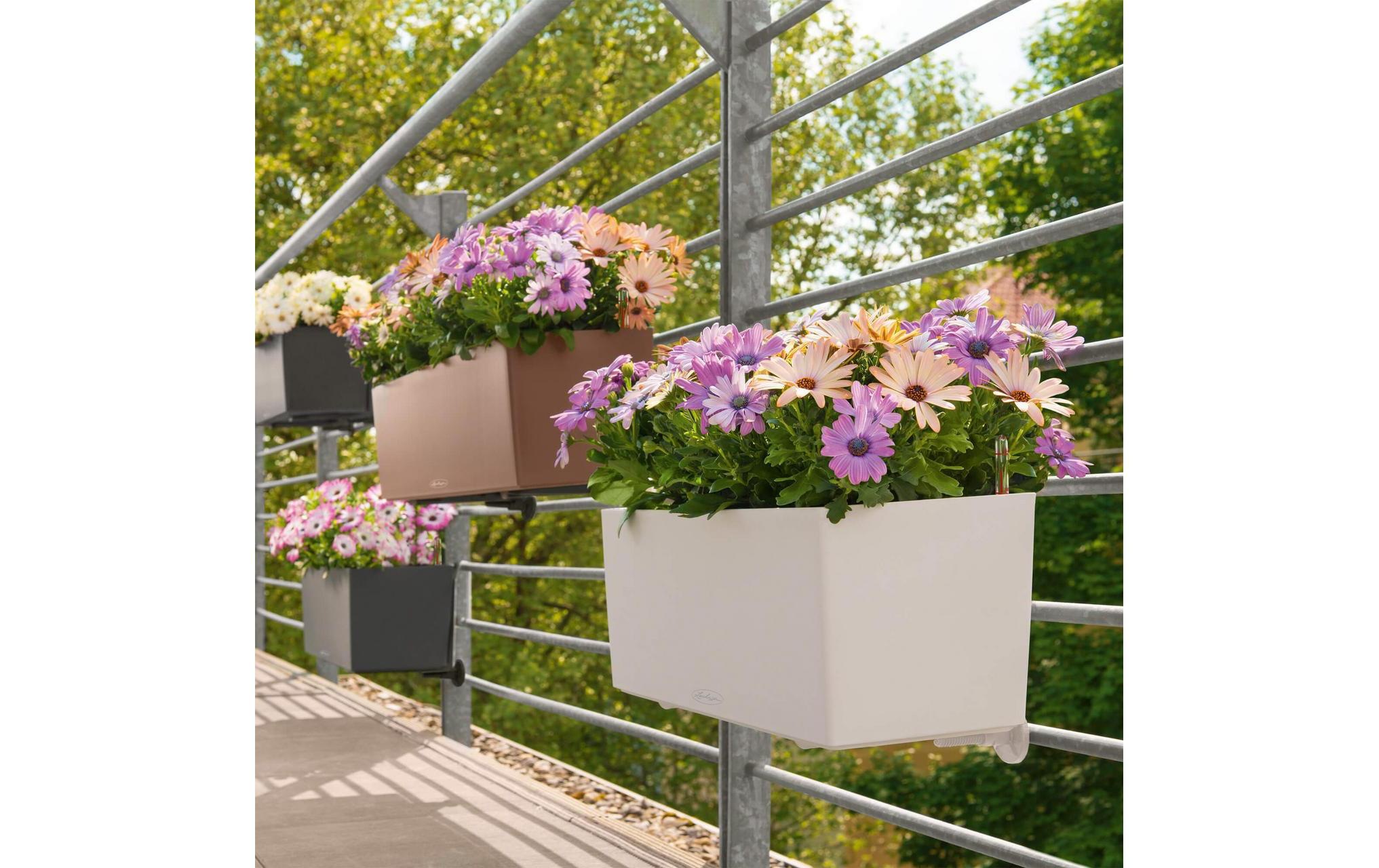   Übertopf »Balconera Color Braun«