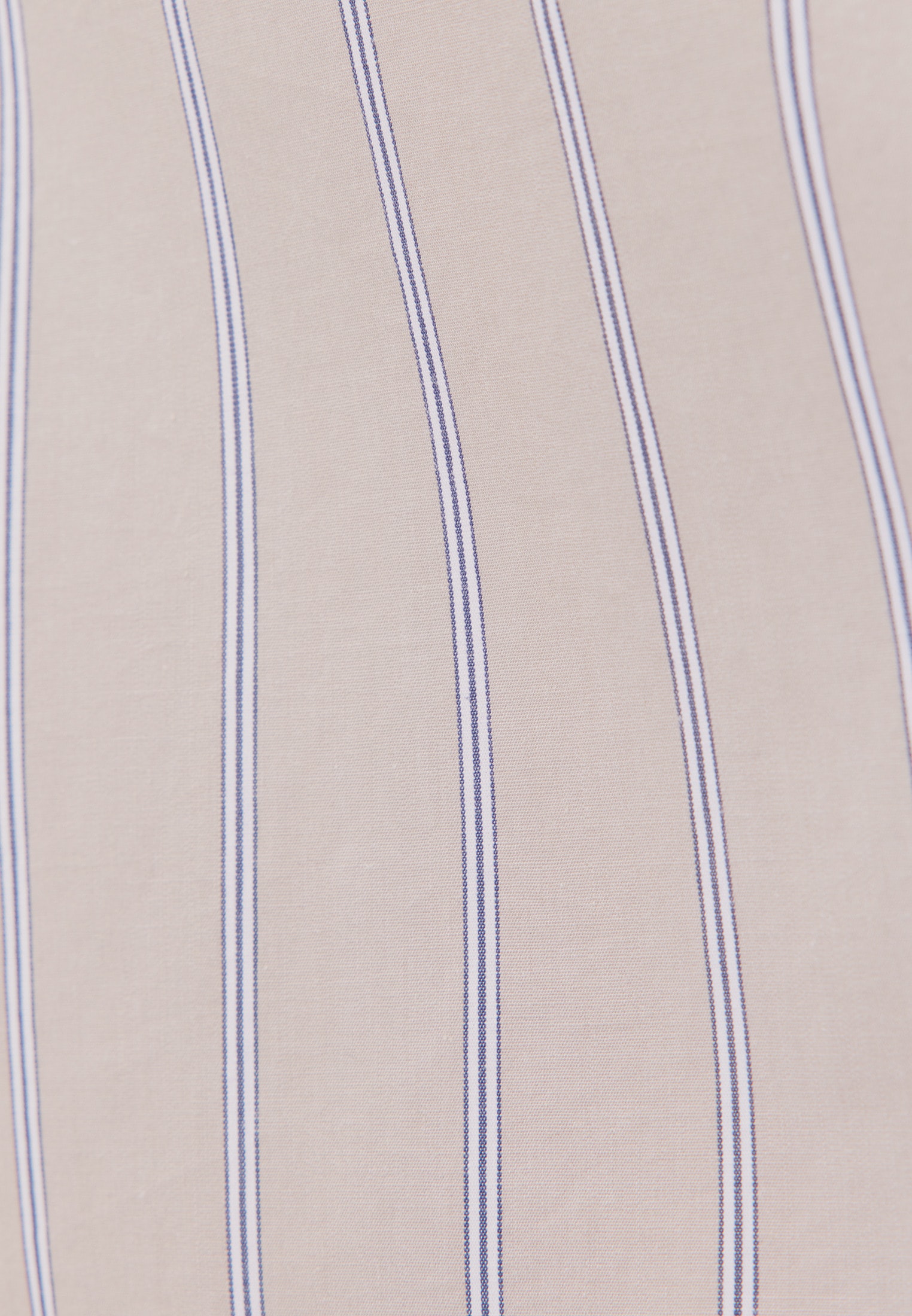 studio seidensticker Shorts »Studio«